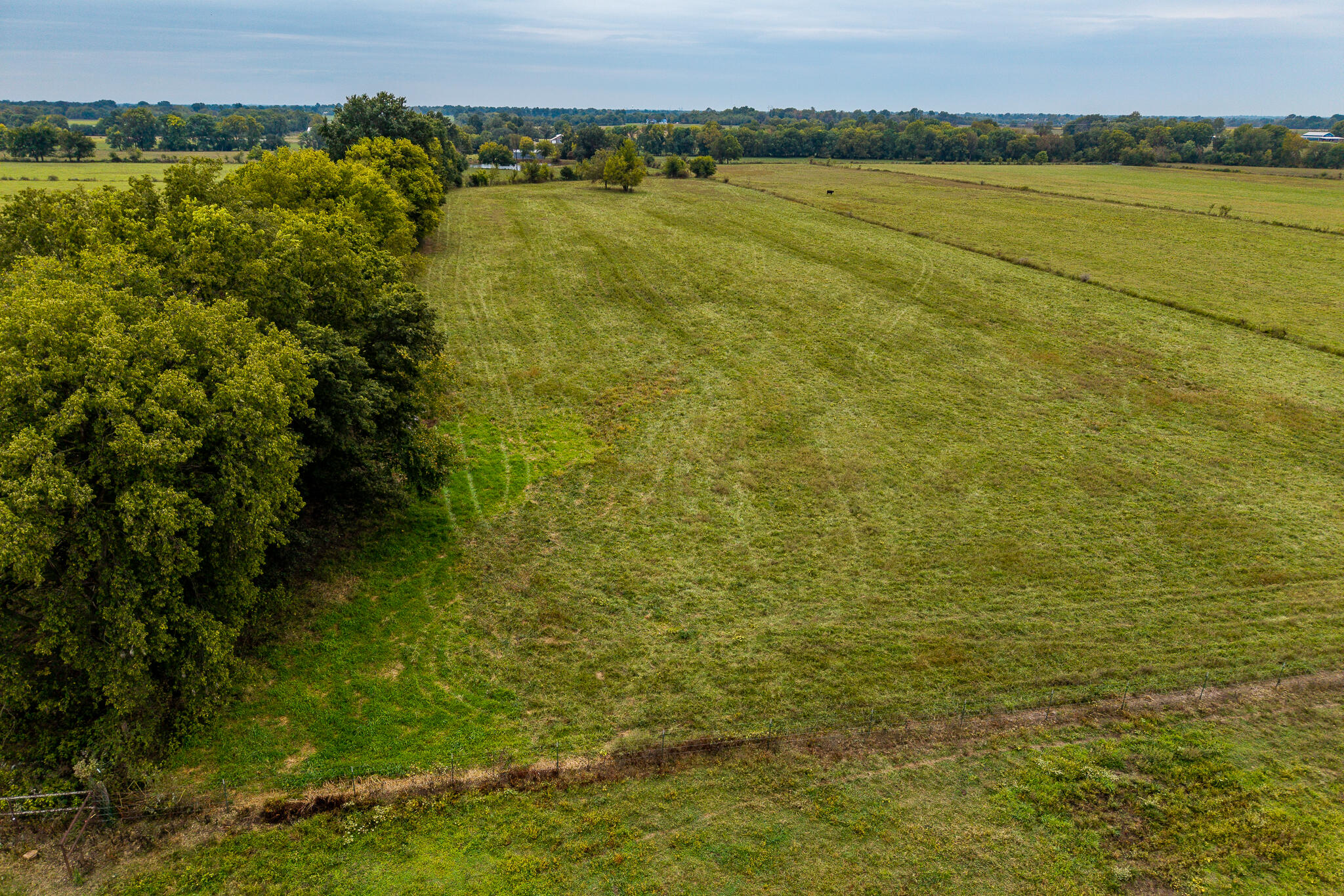 015 County Road 270 Property Photo 4