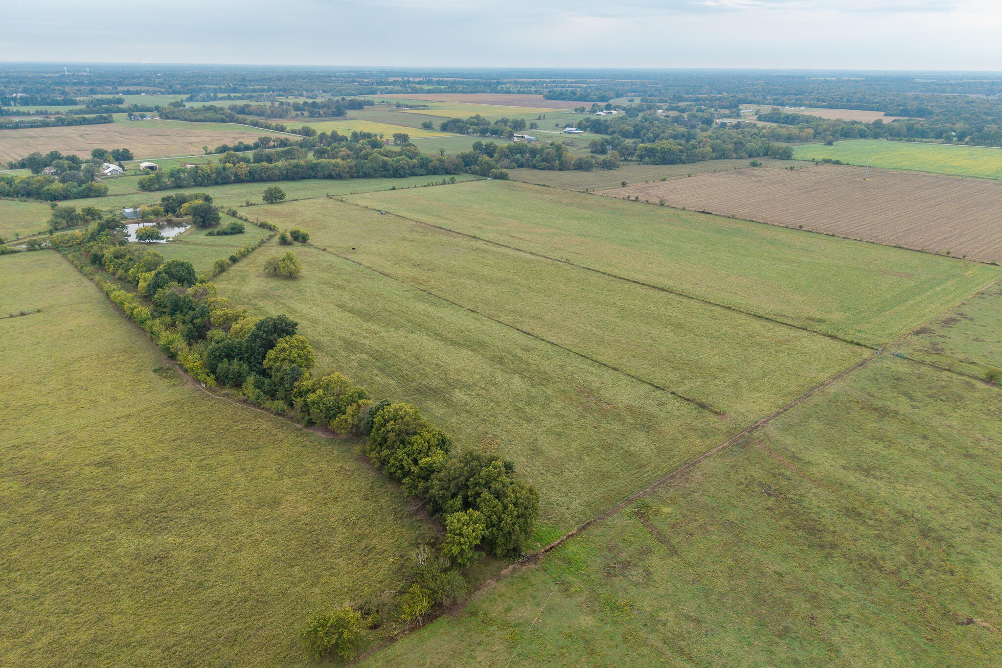 015 County Road 270 Property Photo 8