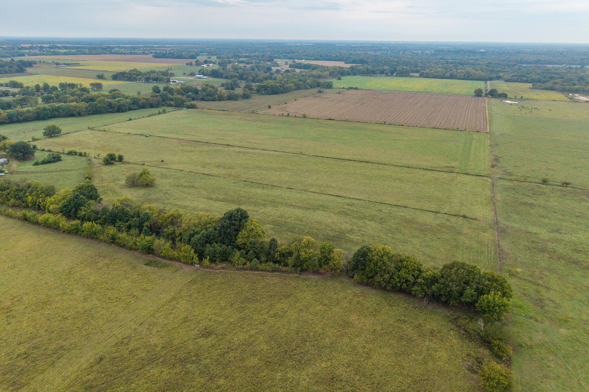 015 County Road 270 Property Photo 9