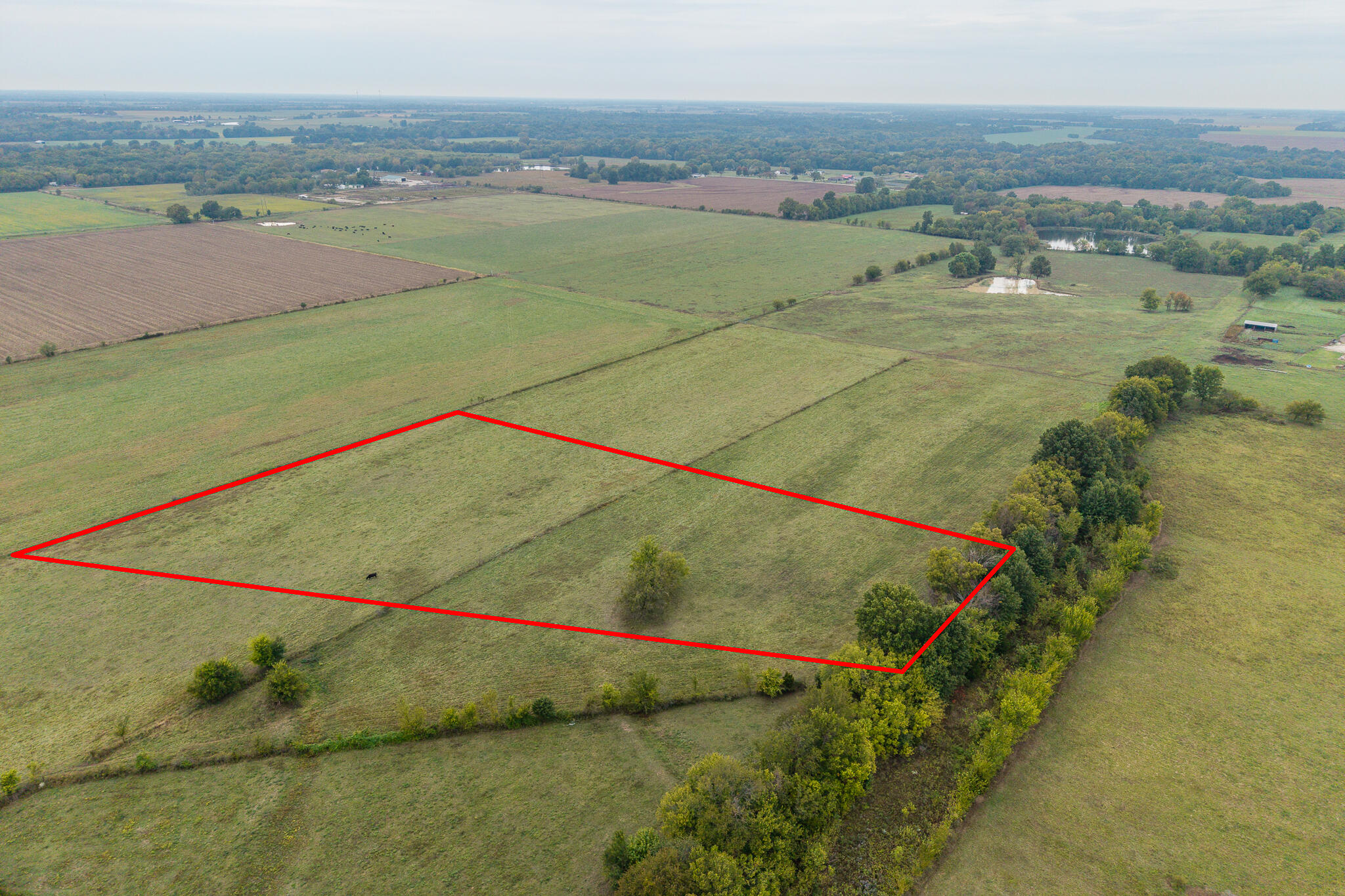 016 County Road 270 Property Photo 1
