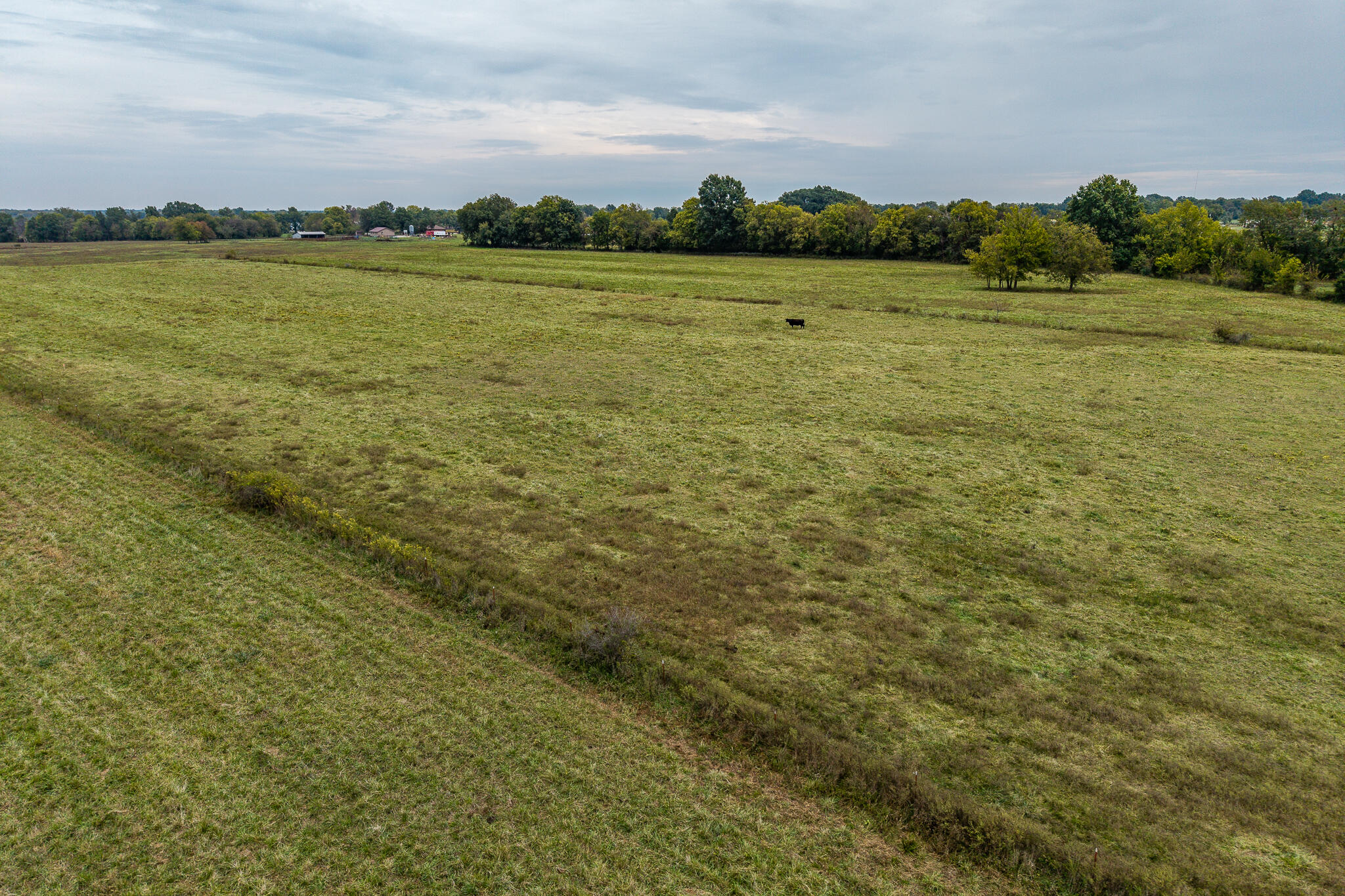 016 County Road 270 Property Photo 2