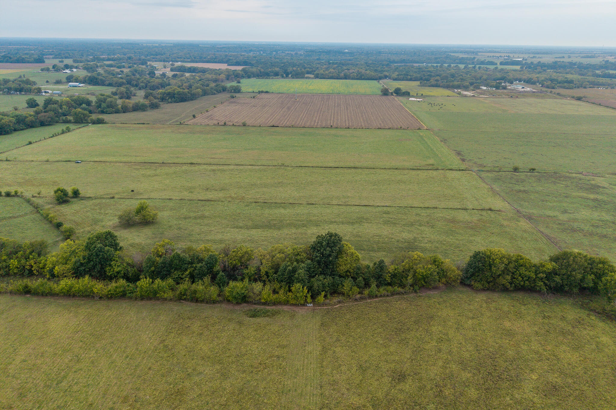 016 County Road 270 Property Photo 9