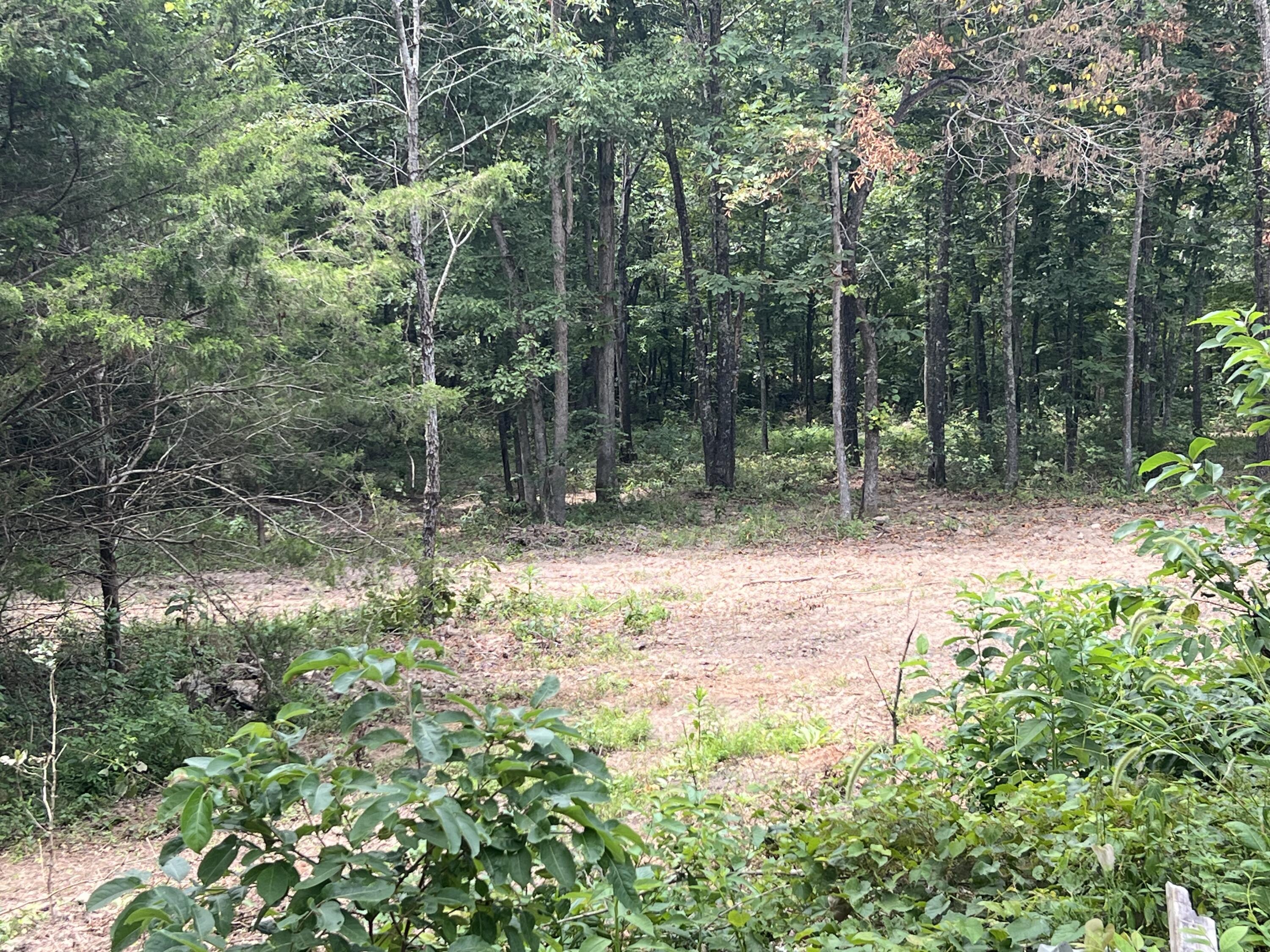 528 Black Oak Road Property Photo 2