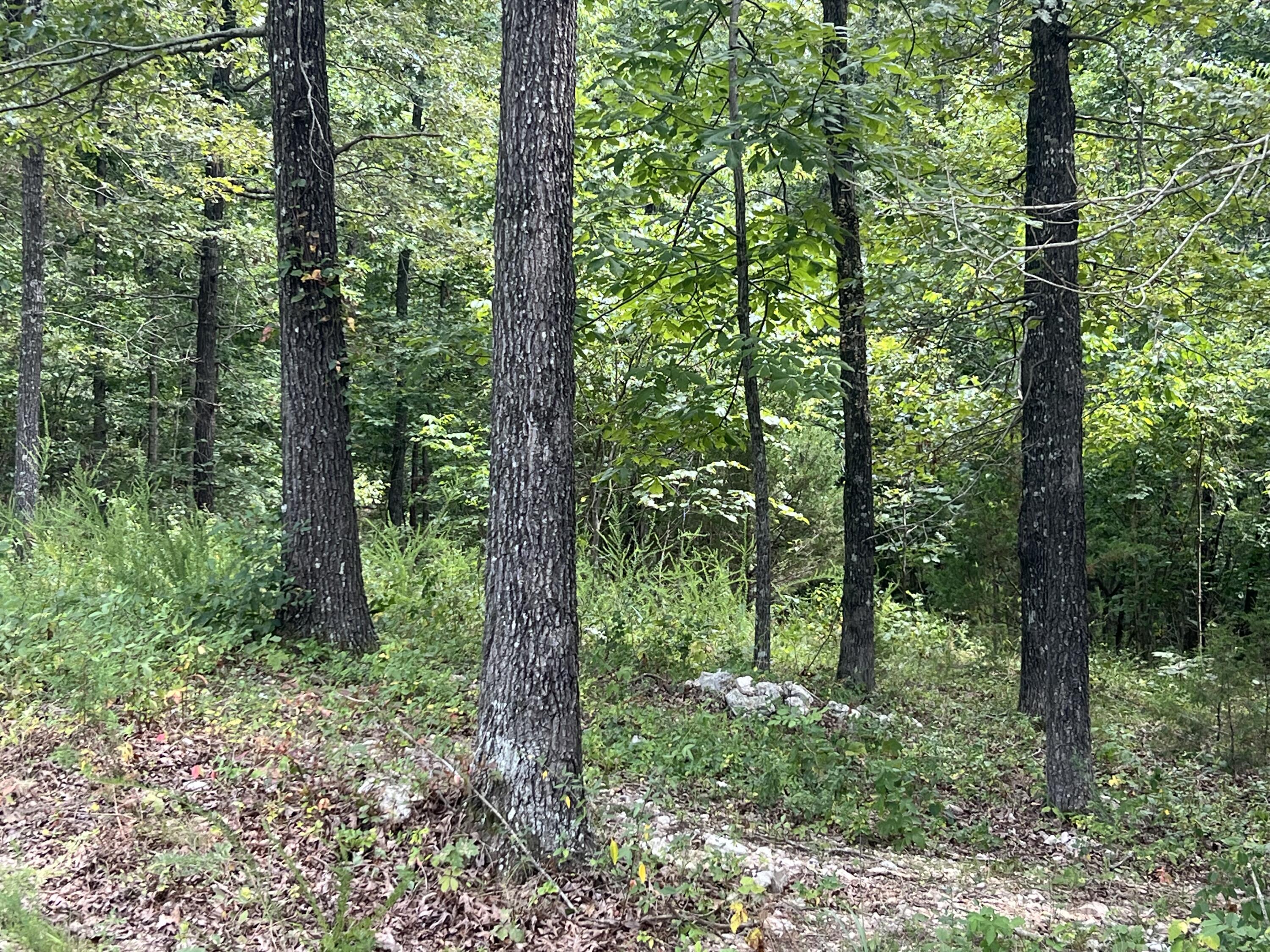 528 Black Oak Road Property Photo 3
