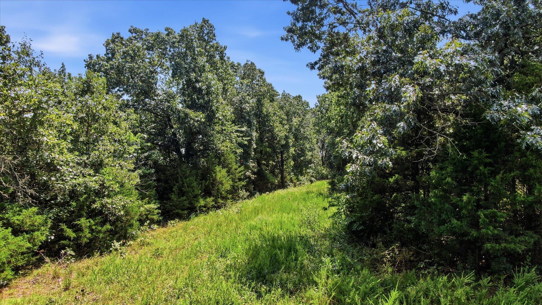 0 North Highway 5 Property Photo 13