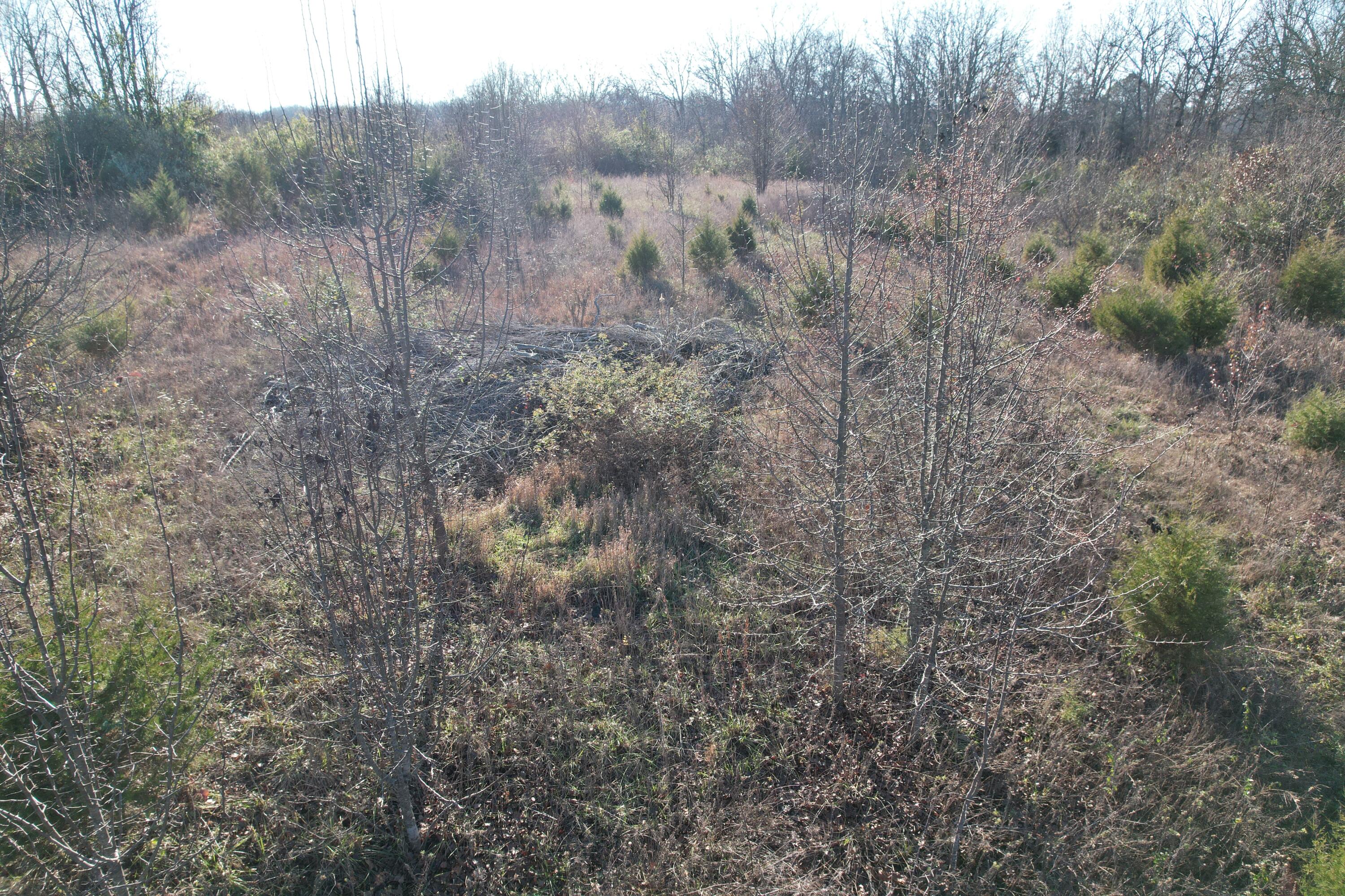 000 Highway 63 Property Photo 21