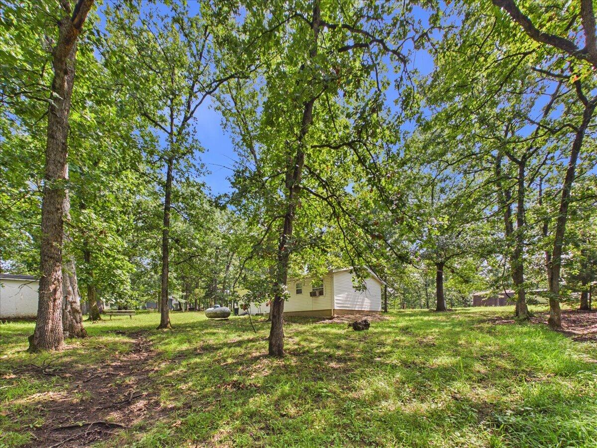25385 County Road 246 Property Photo 26