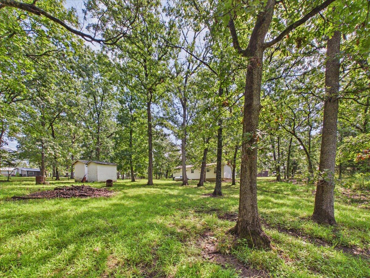 25385 County Road 246 Property Photo 27