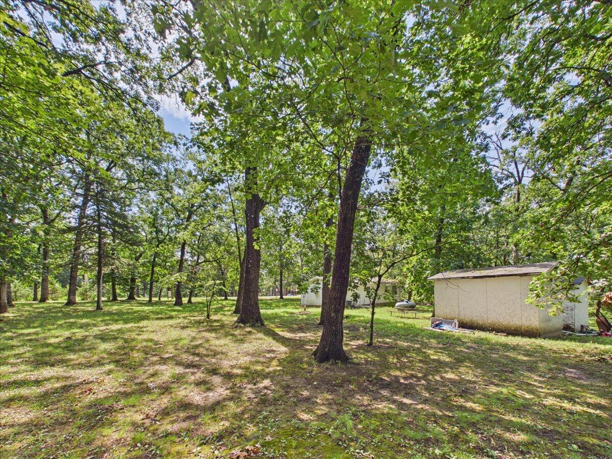 25385 County Road 246 Property Photo 29