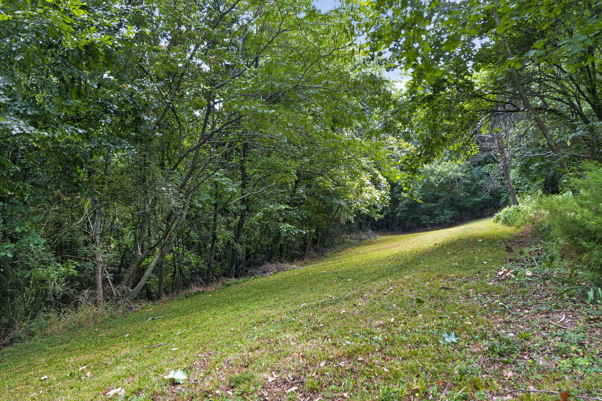 18317 Collins Road Property Photo 33