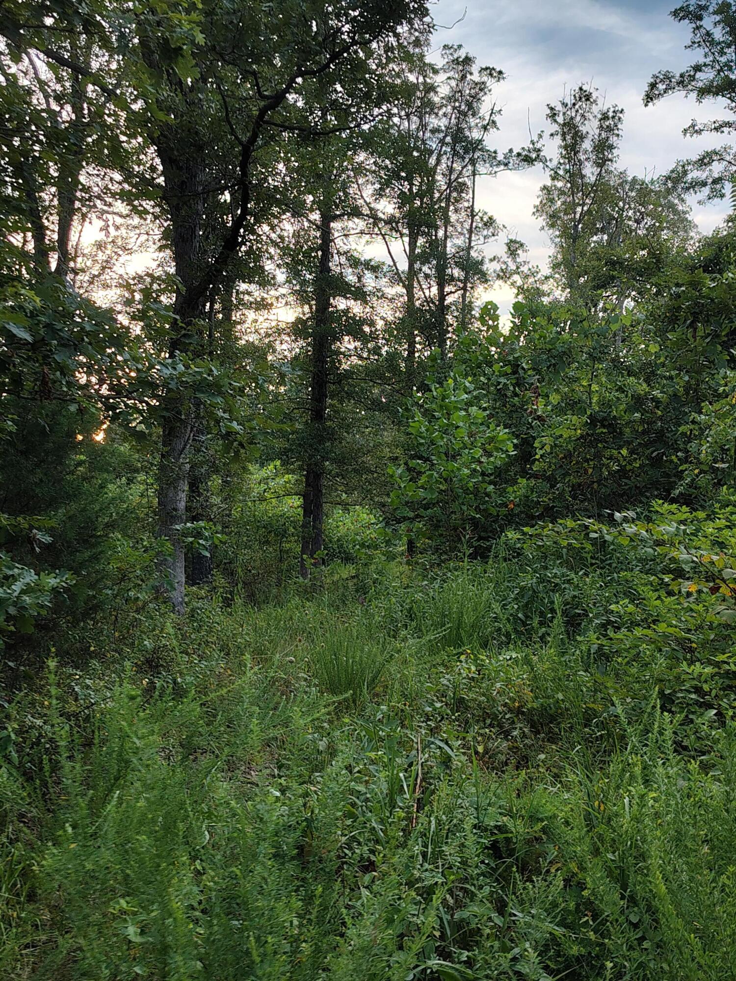 000 County Road 150 Property Photo 5