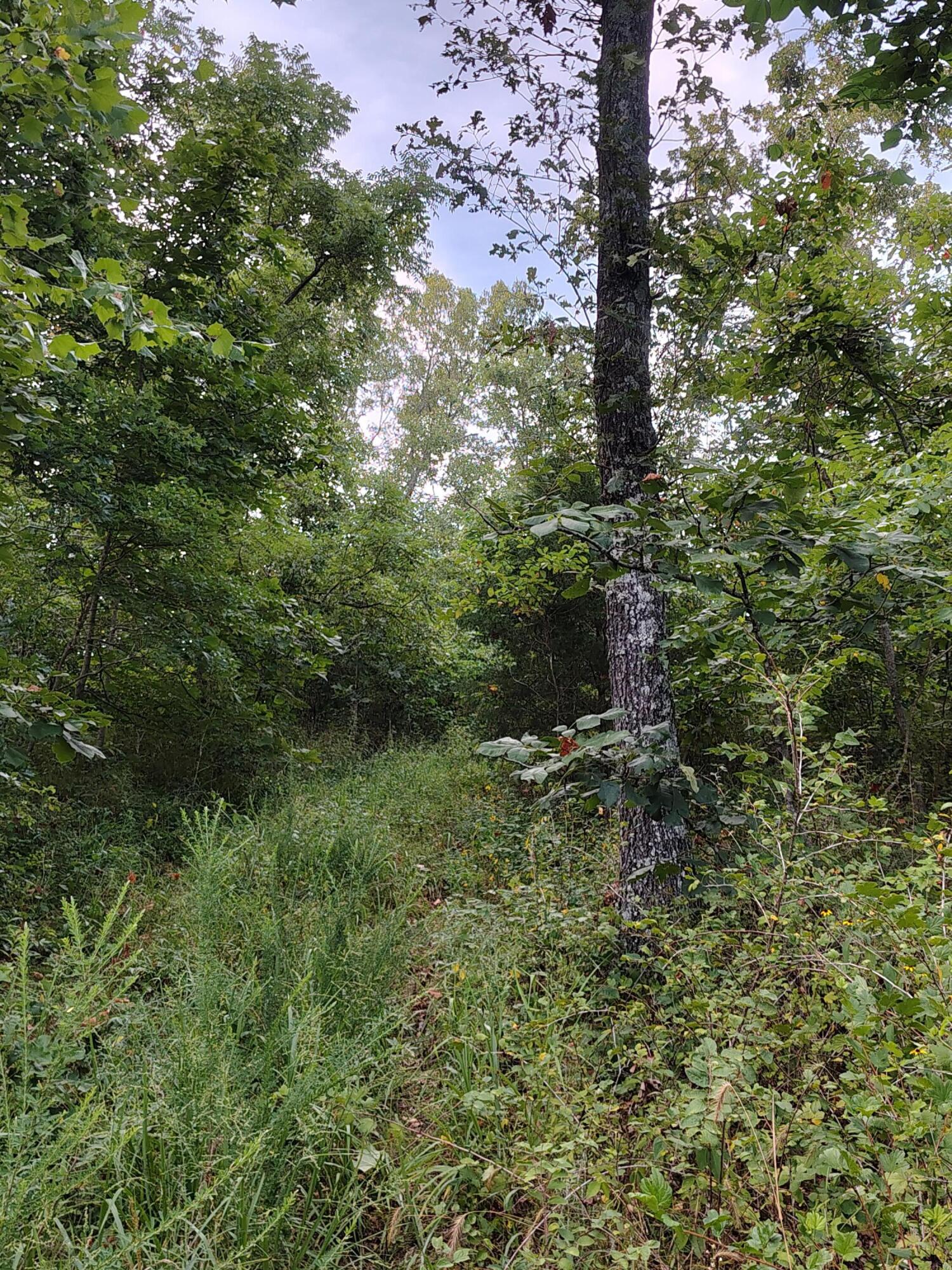 000 County Road 150 Property Photo 6