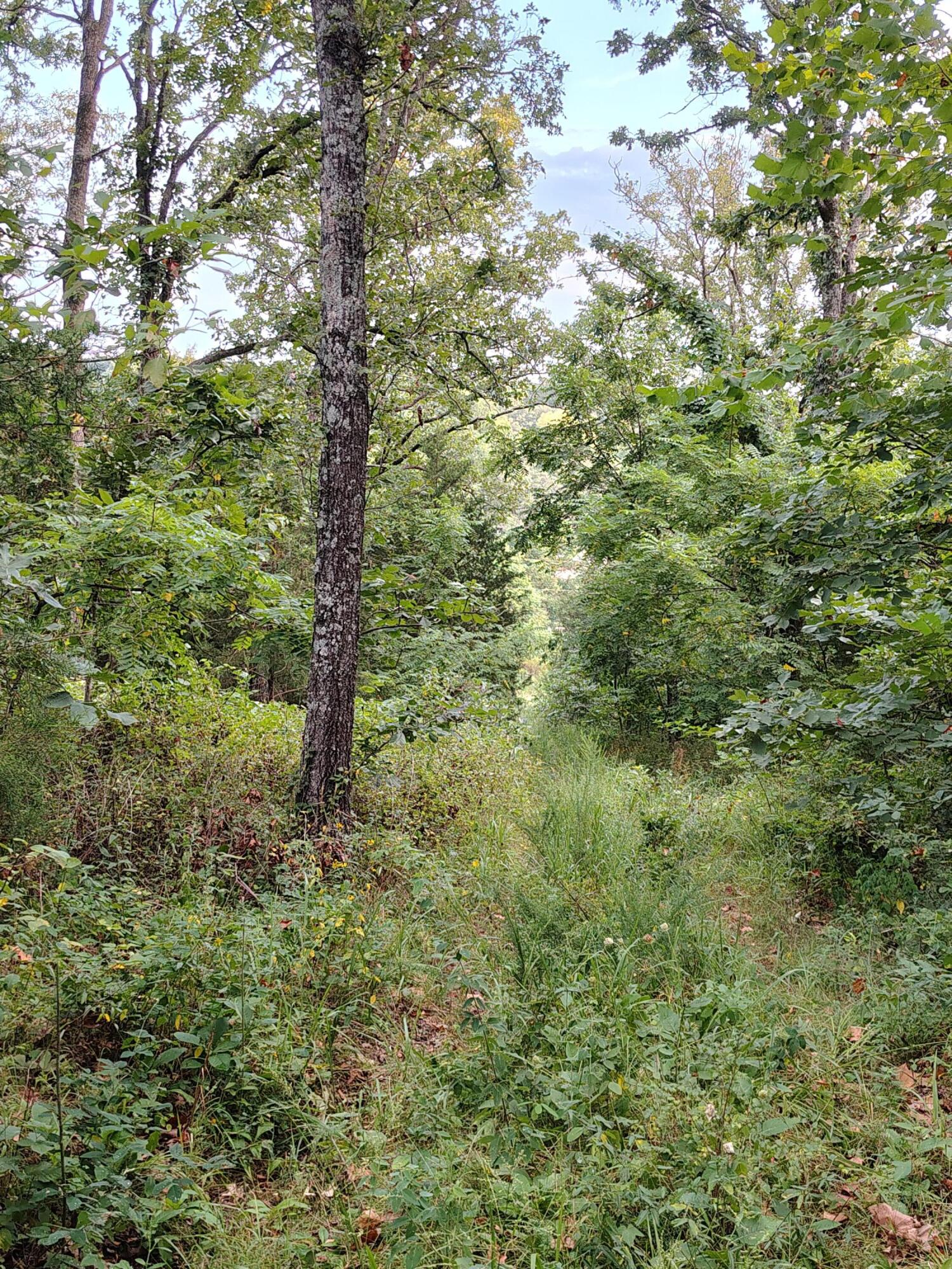 000 County Road 150 Property Photo 7