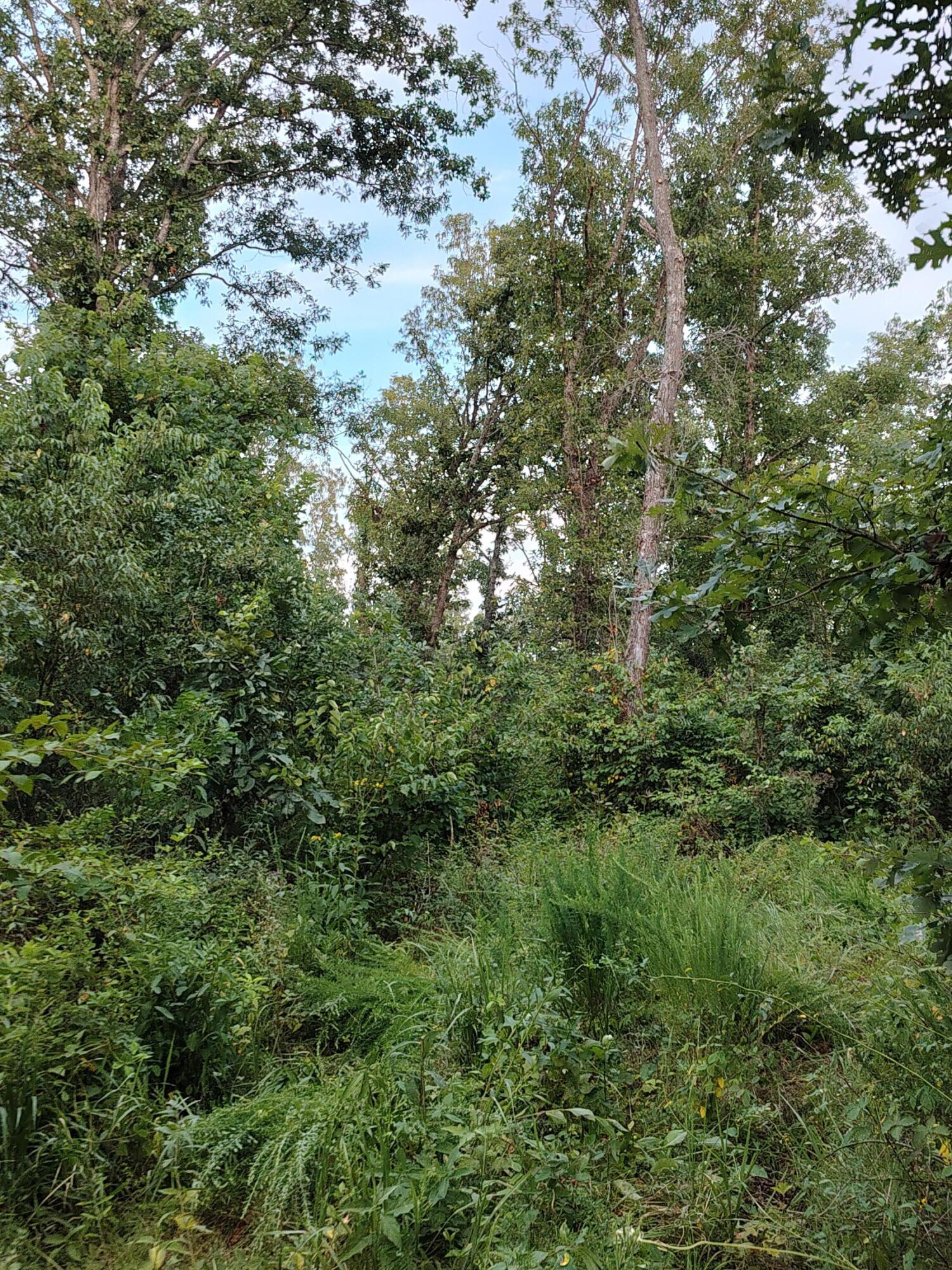 000 County Road 150 Property Photo 8