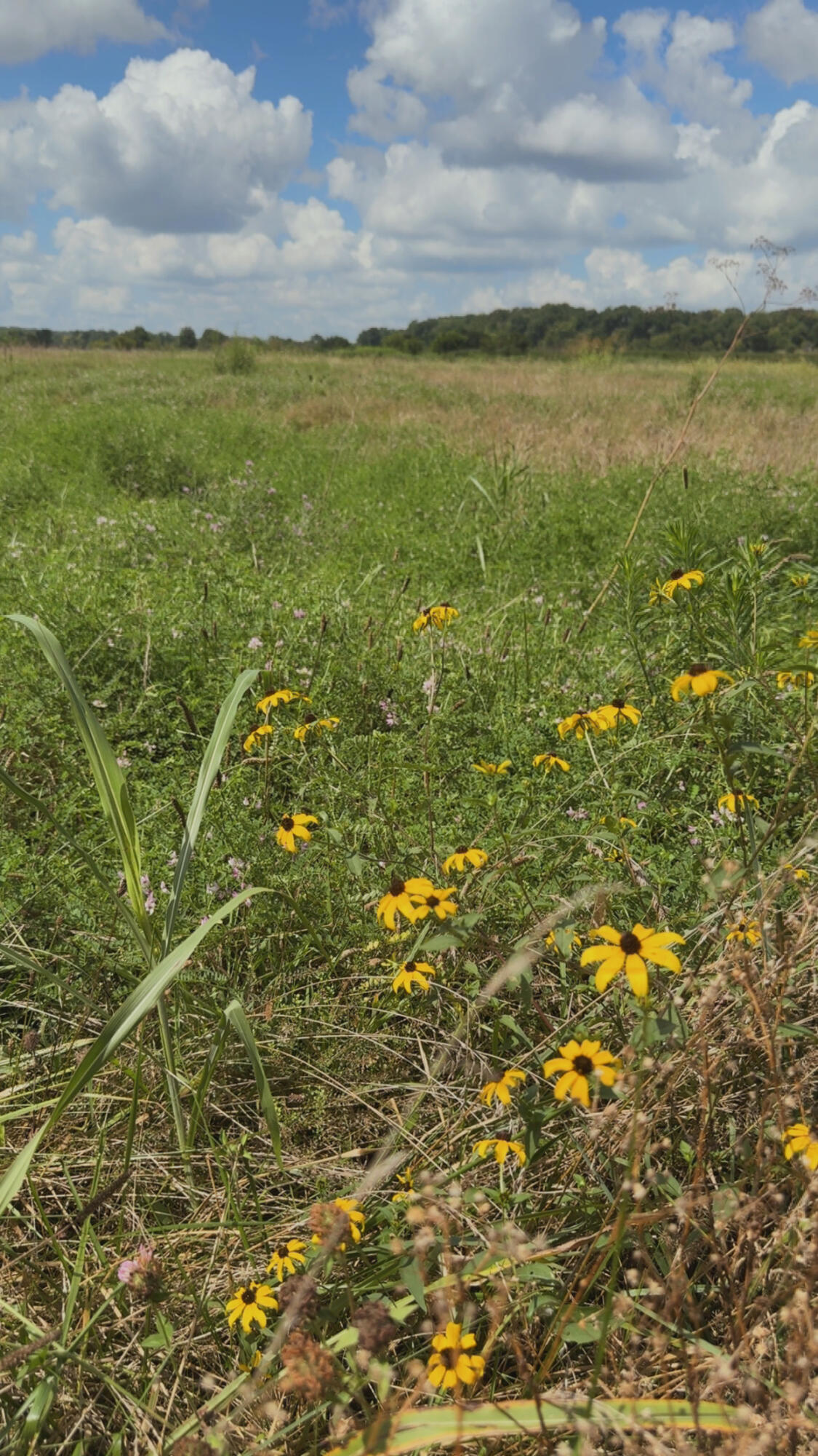 000 Highway 63 Property Photo 2