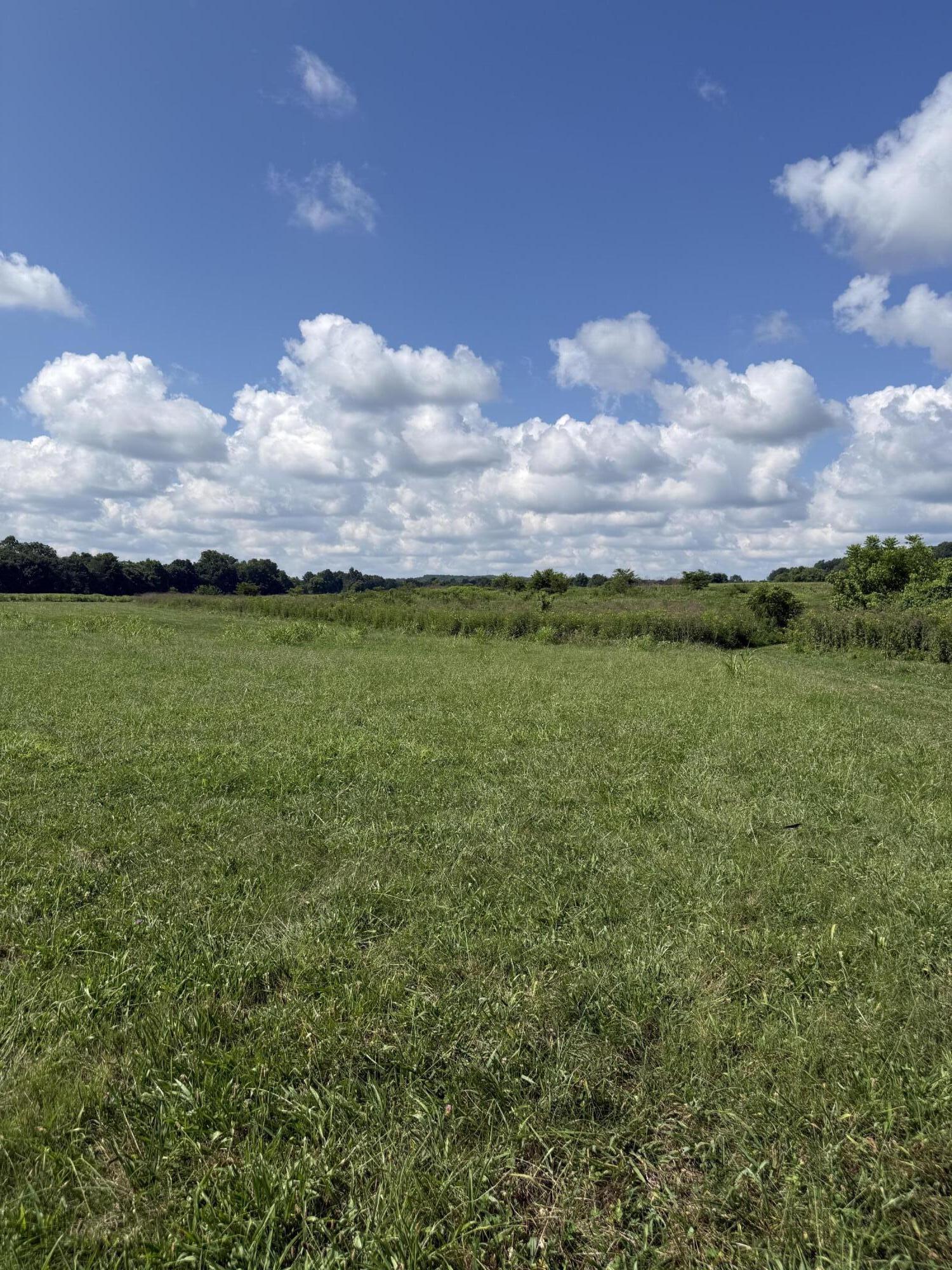 000 Highway 63 Property Photo 3