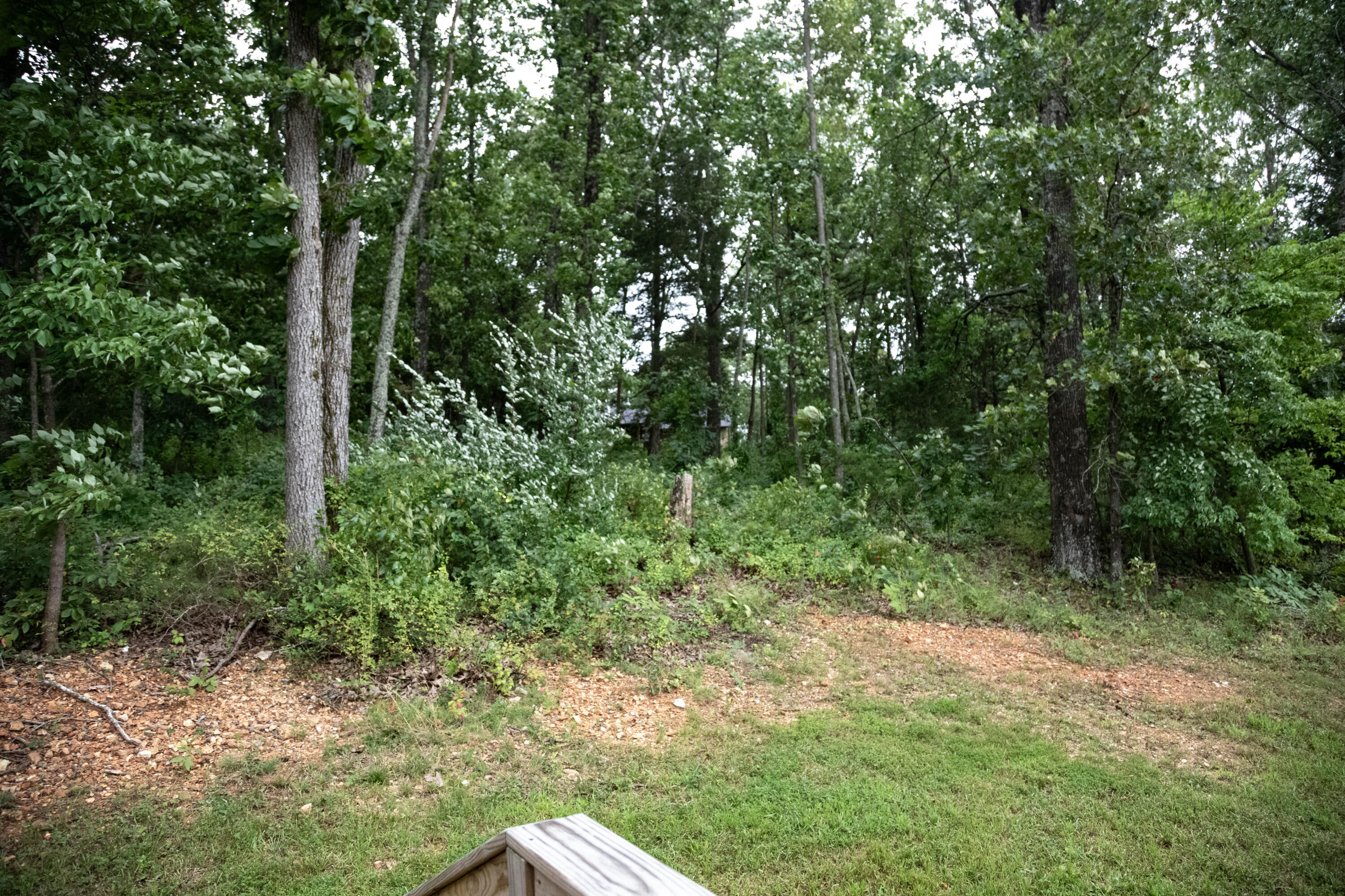 207 Juniper Avenue Property Photo 63