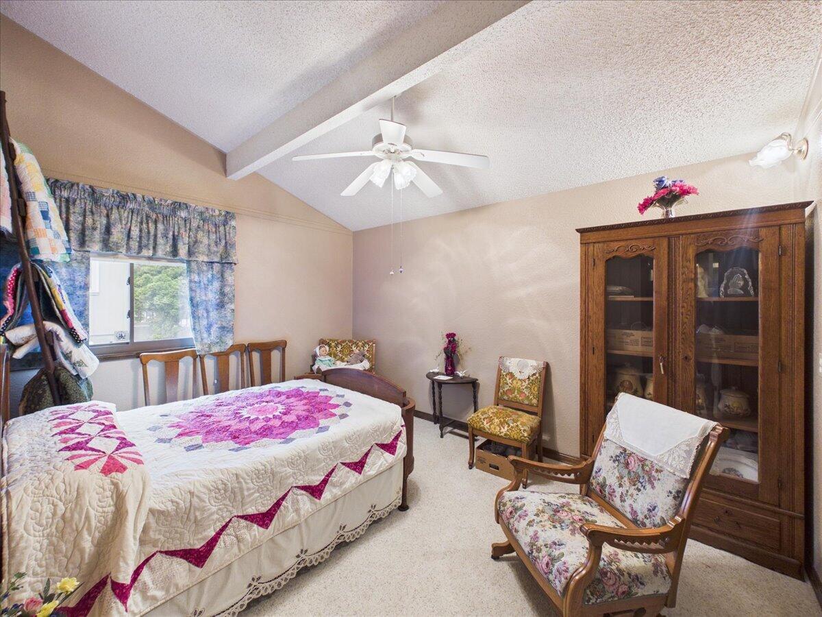 27300 County Road 233 Property Photo 62