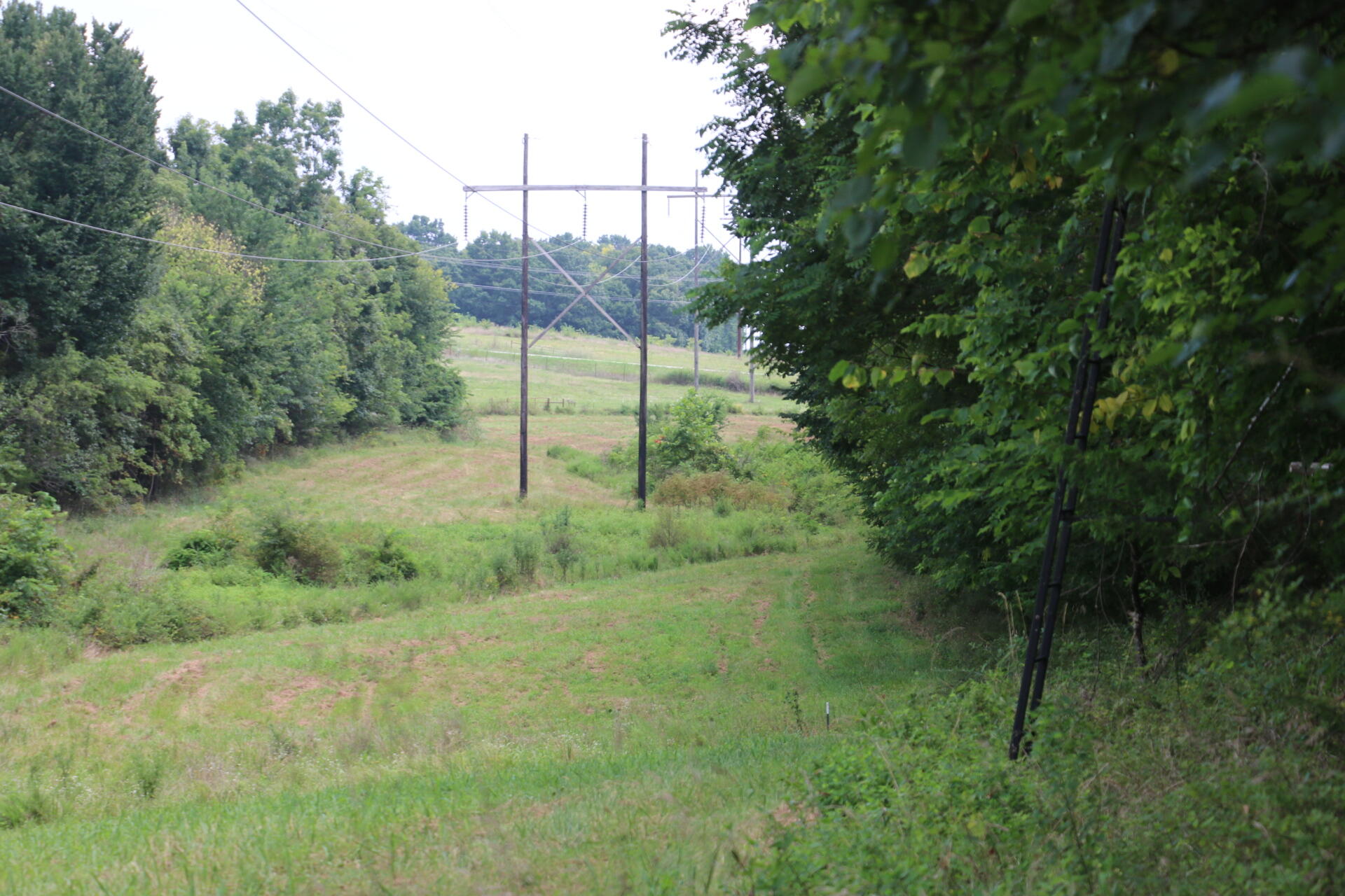 Tract 3 North Farm Road 53 Property Photo 13