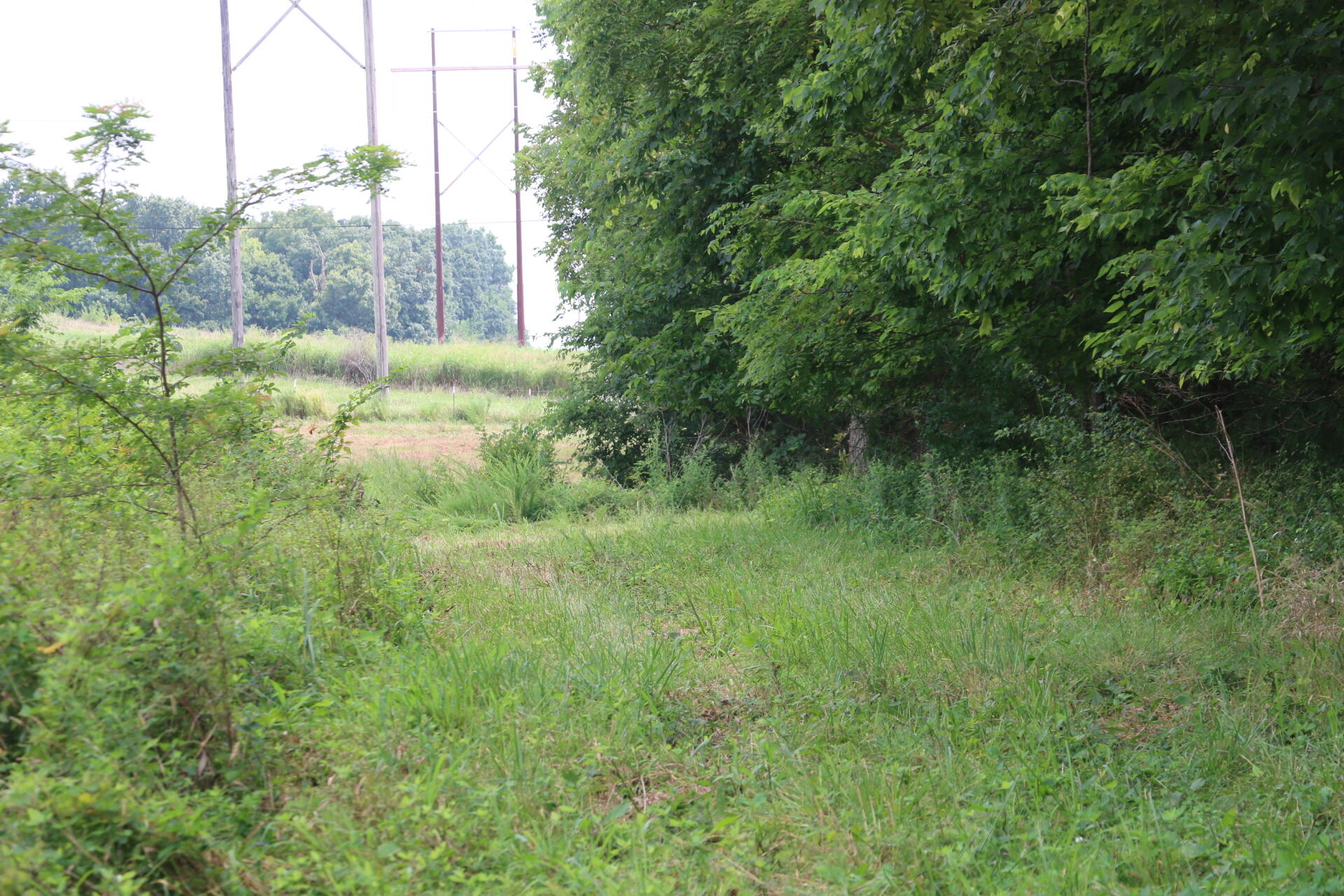 Tract 3 North Farm Road 53 Property Photo 14