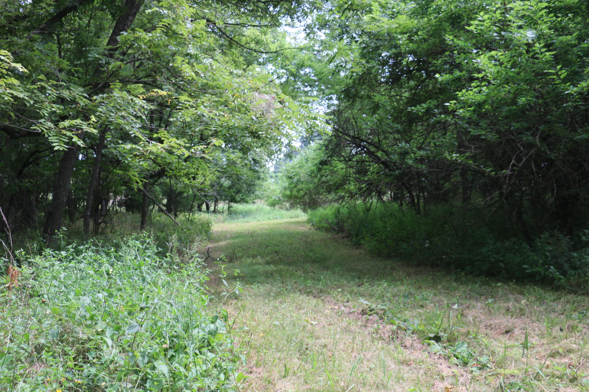 Tract 3 North Farm Road 53 Property Photo 15