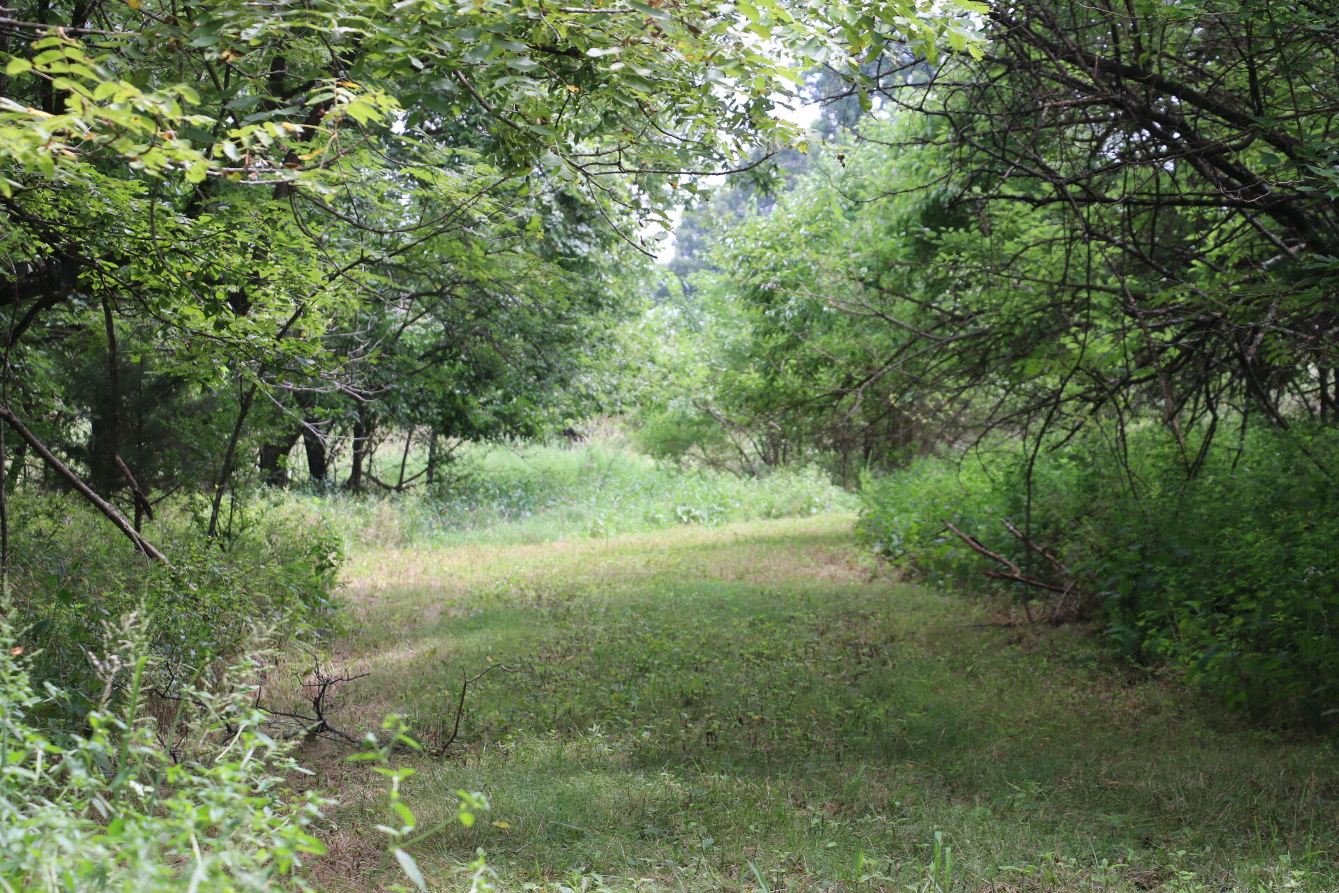 Tract 3 North Farm Road 53 Property Photo 16