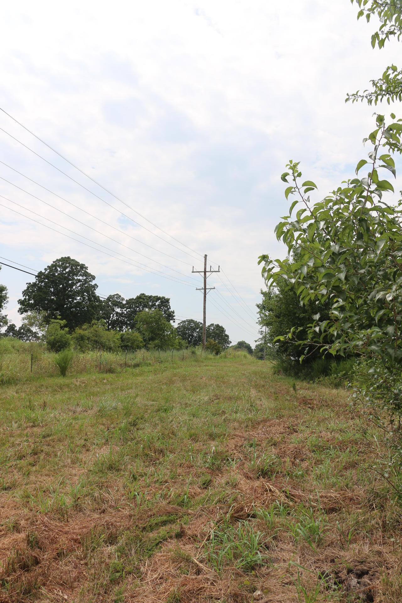Tract 3 North Farm Road 53 Property Photo 17
