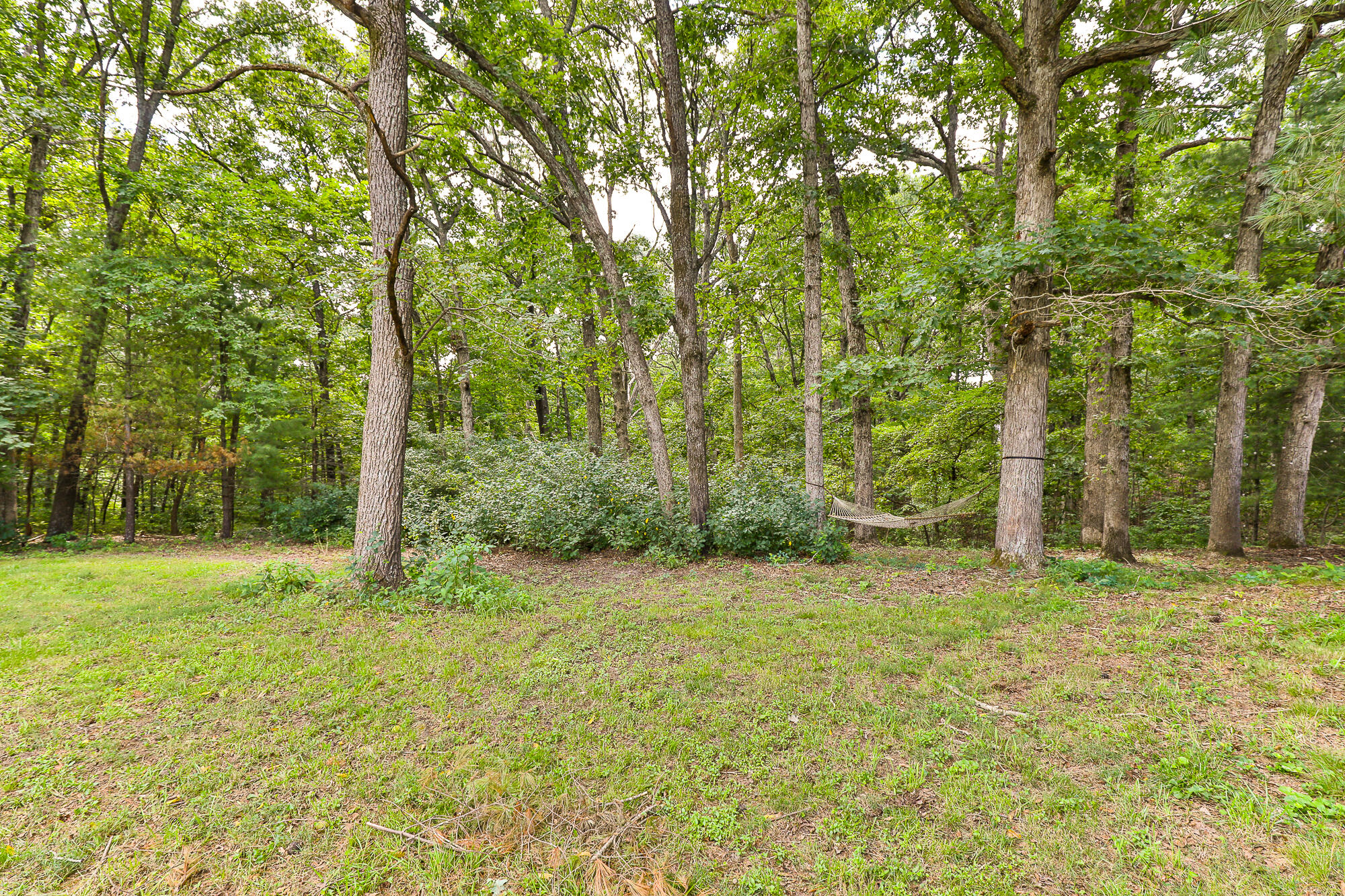 9079 East Division Street Property Photo 41