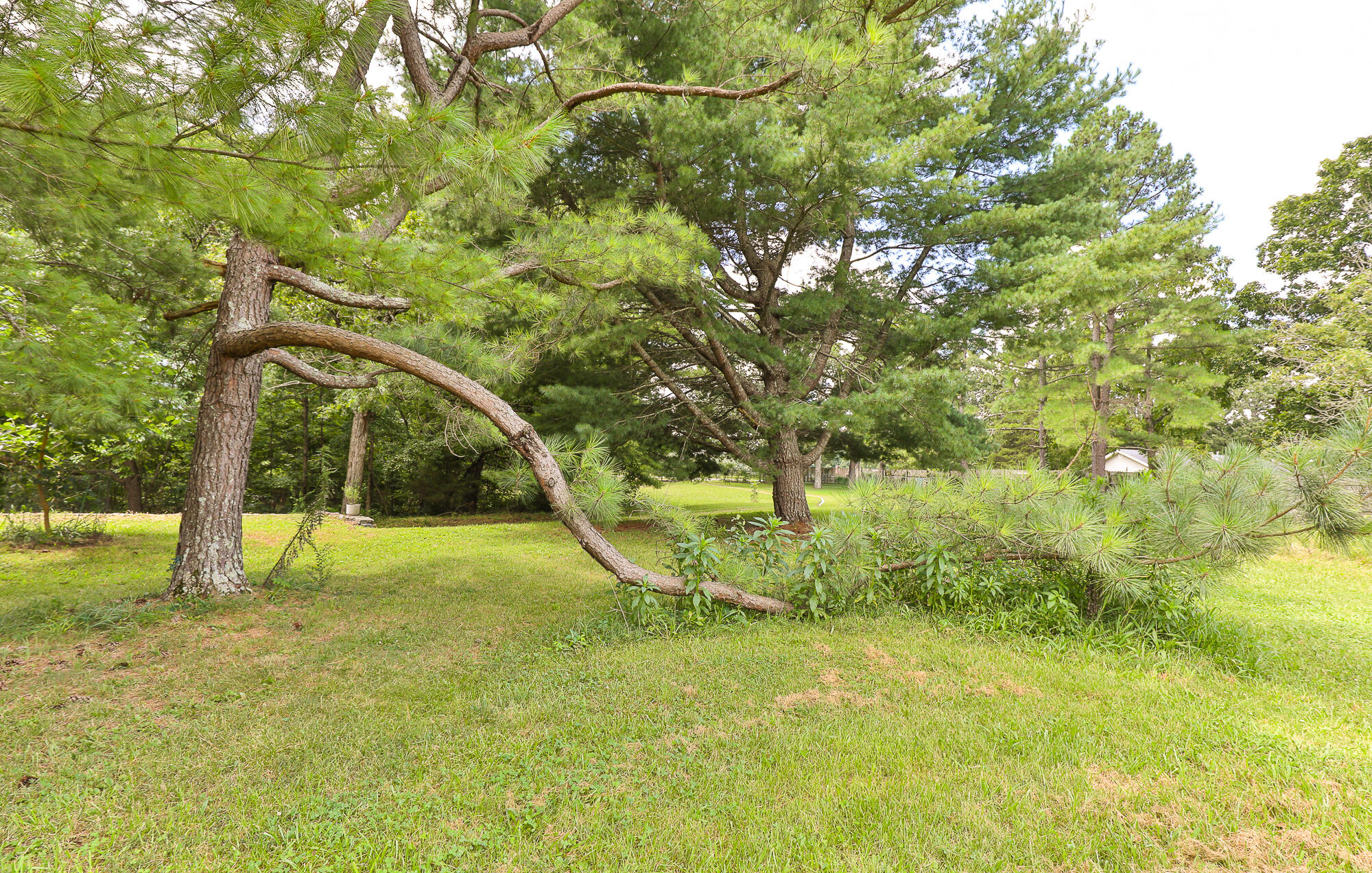 9079 East Division Street Property Photo 43