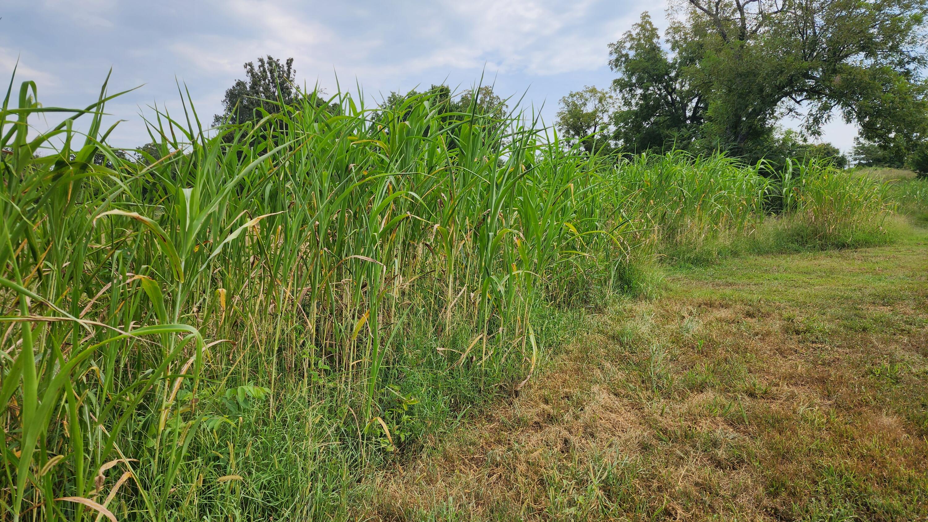 000 Rail Hollow Road Property Photo 1