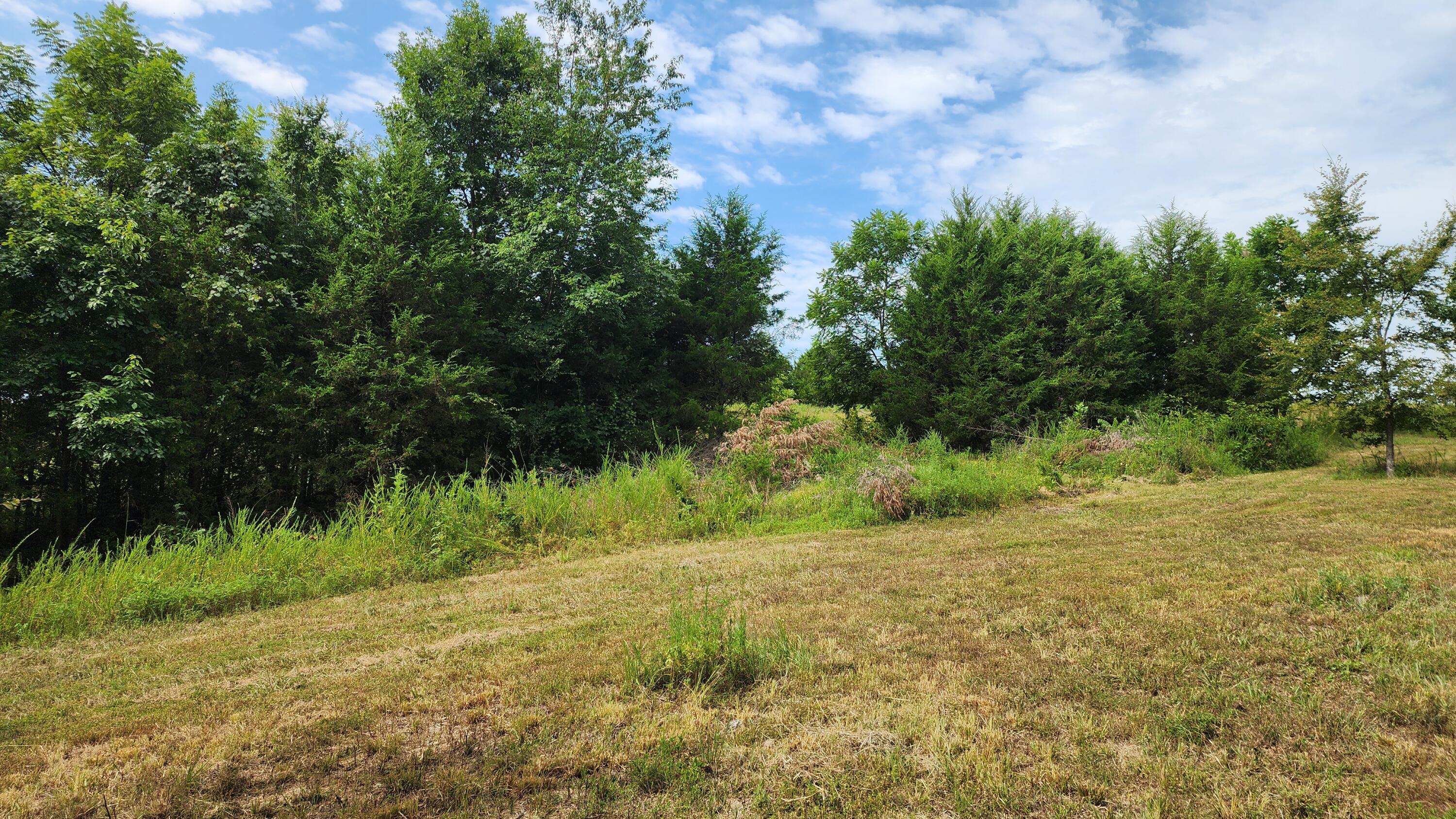 000 Rail Hollow Road Property Photo 4