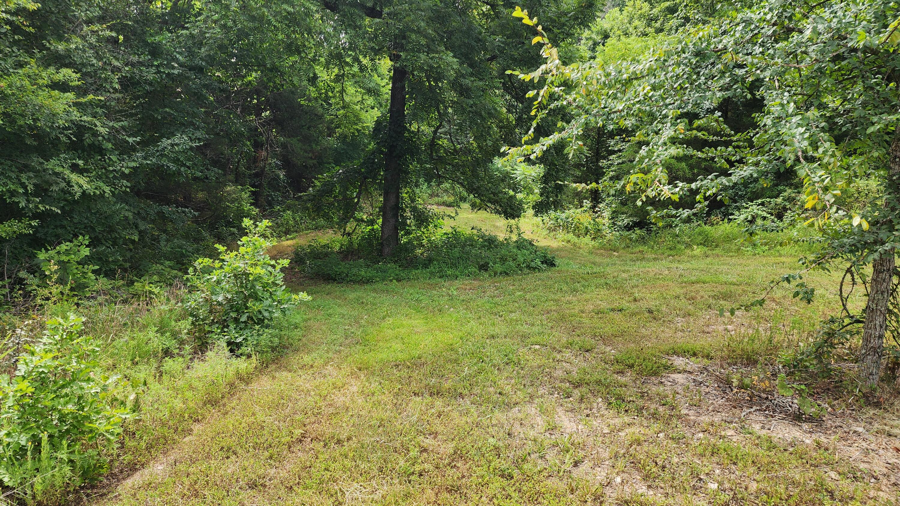 000 Rail Hollow Road Property Photo 5