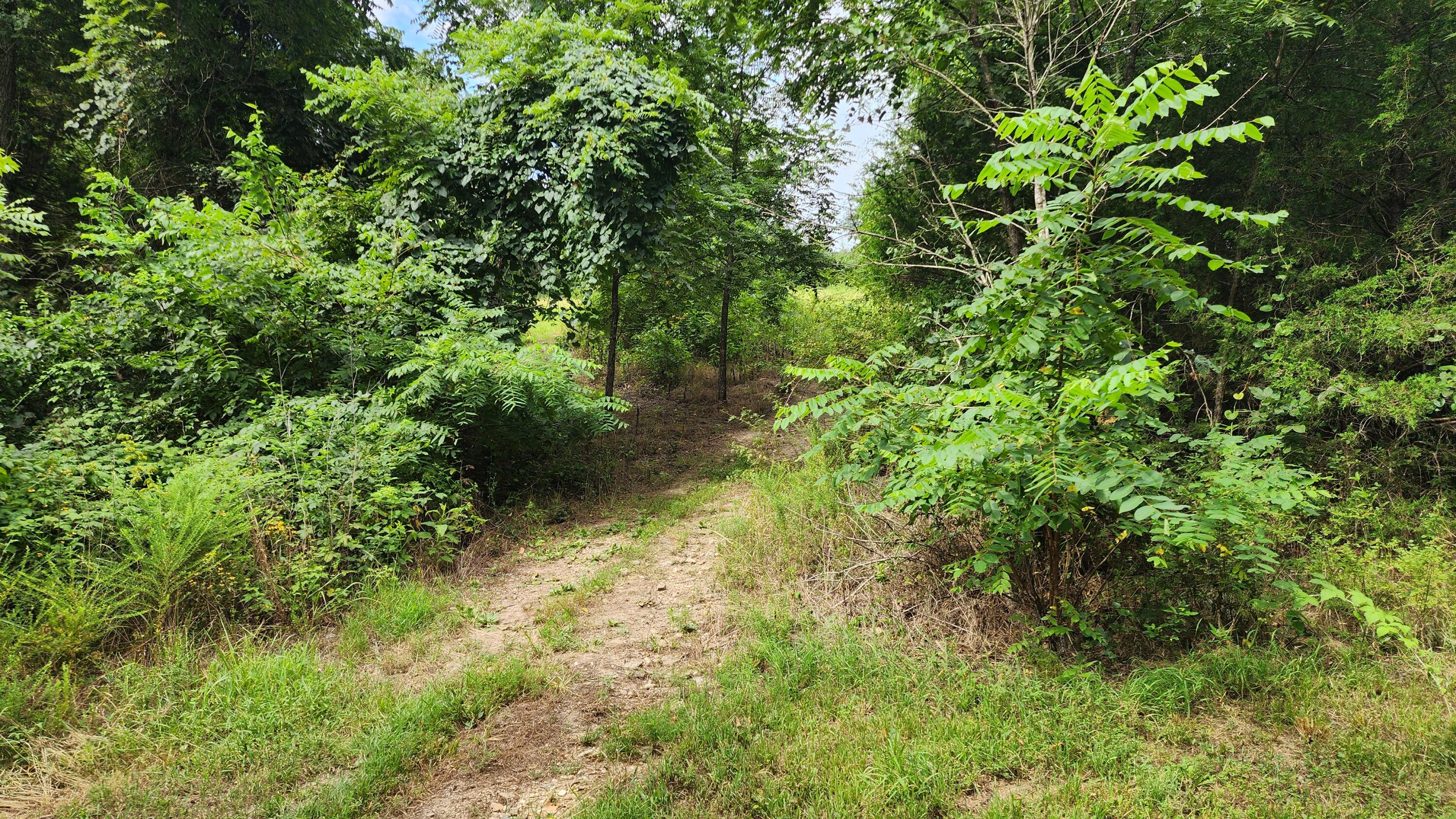 000 Rail Hollow Road Property Photo 6