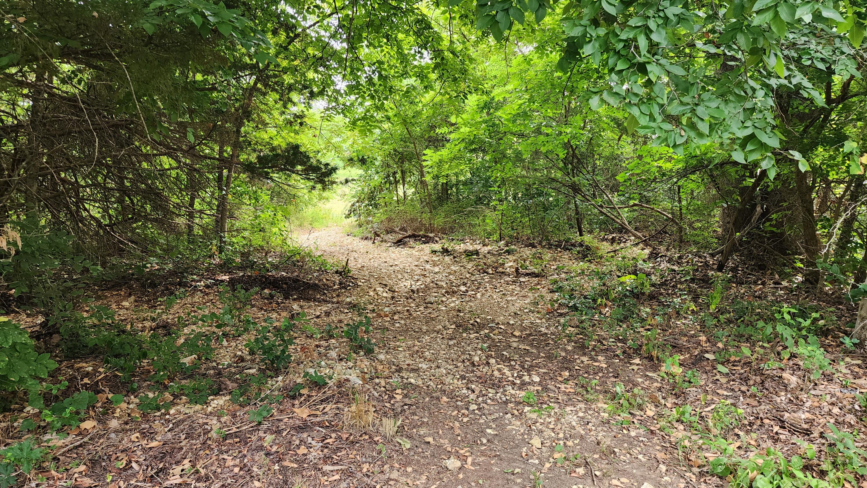 000 Rail Hollow Road Property Photo 7