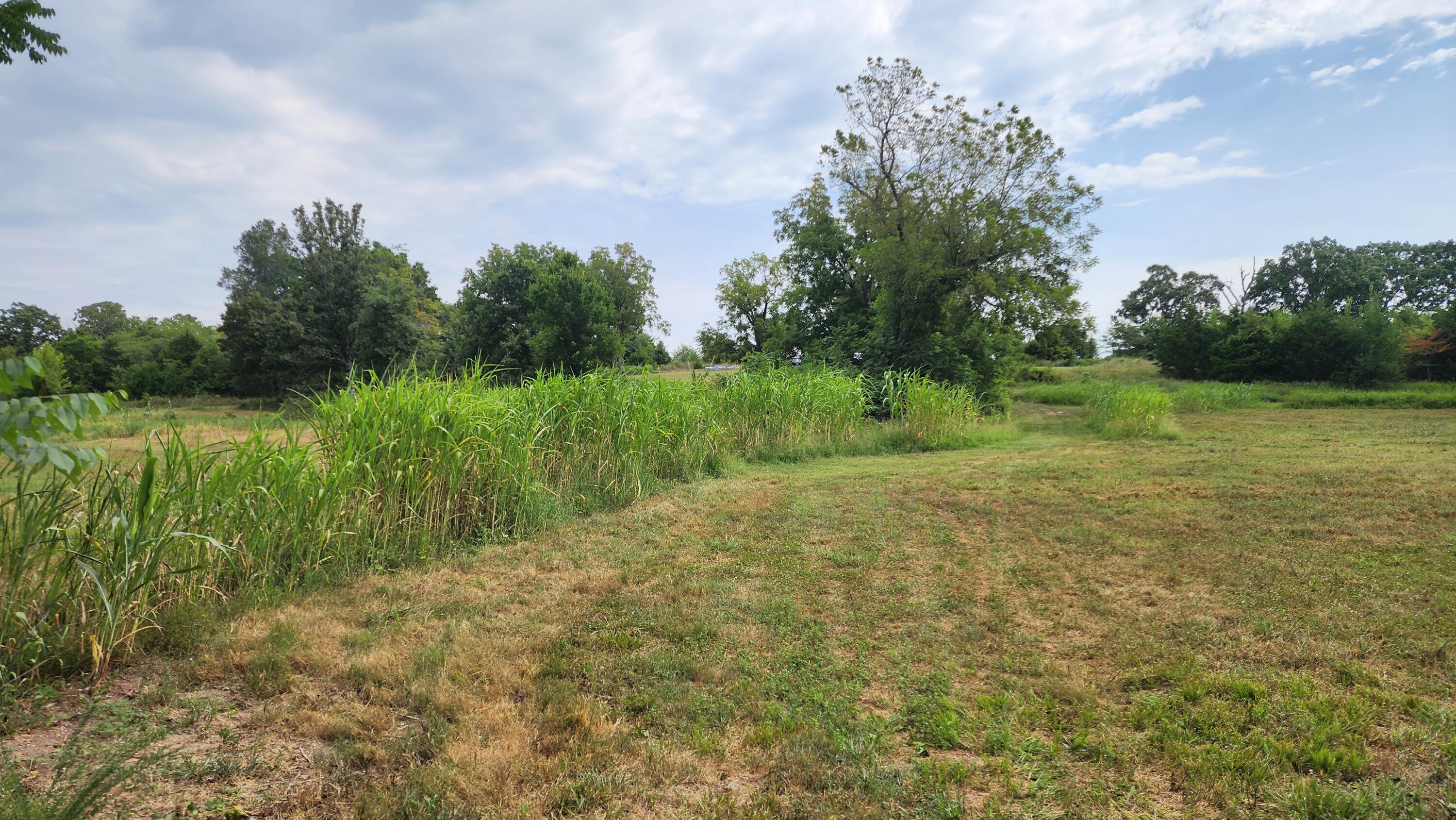 000 Rail Hollow Road Property Photo 8