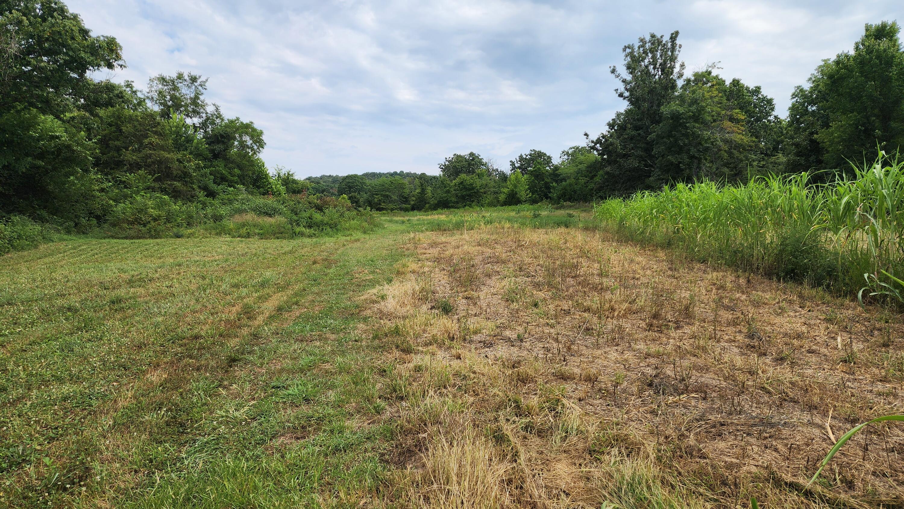 000 Rail Hollow Road Property Photo 9