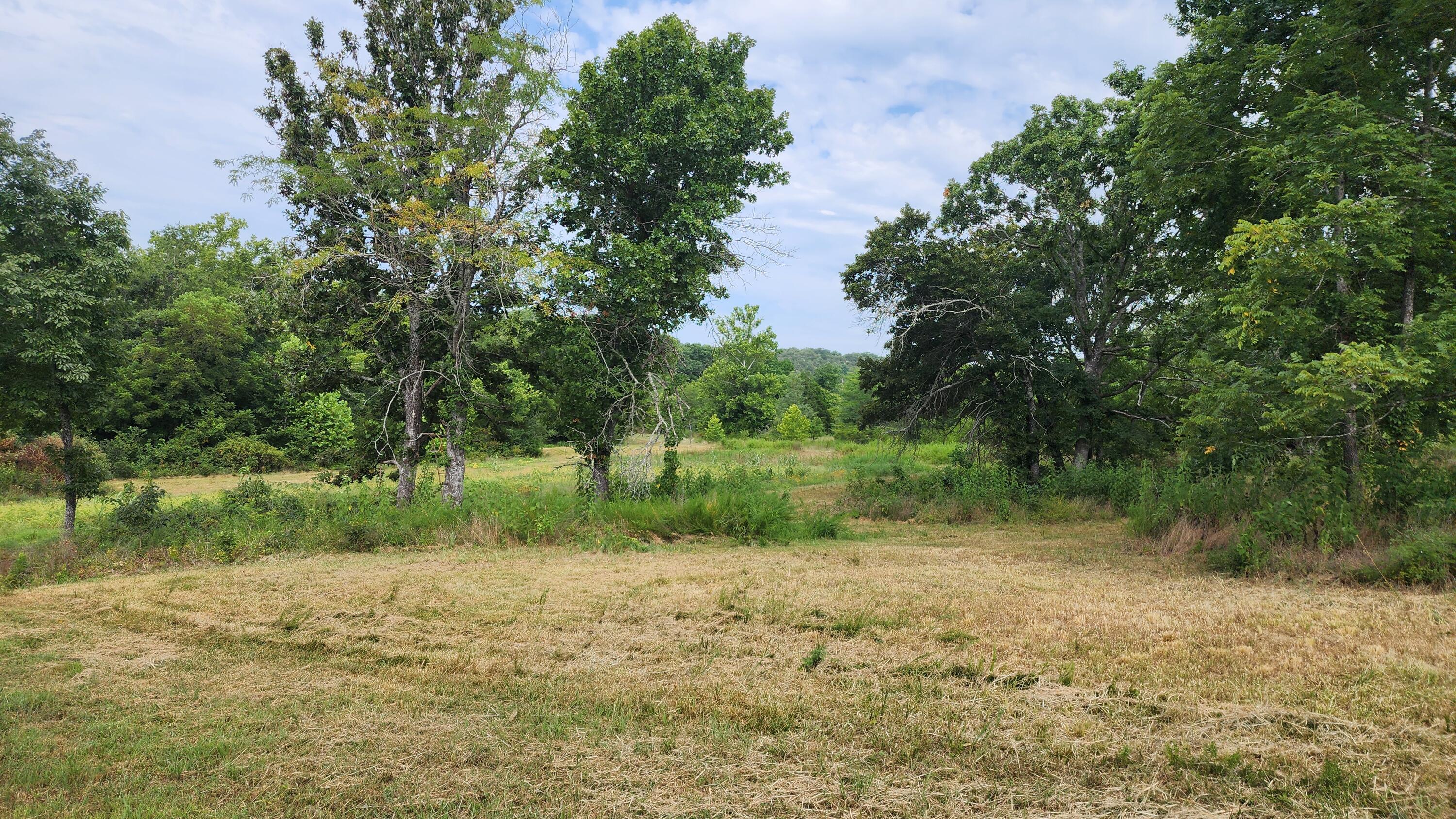 000 Rail Hollow Road Property Photo 12