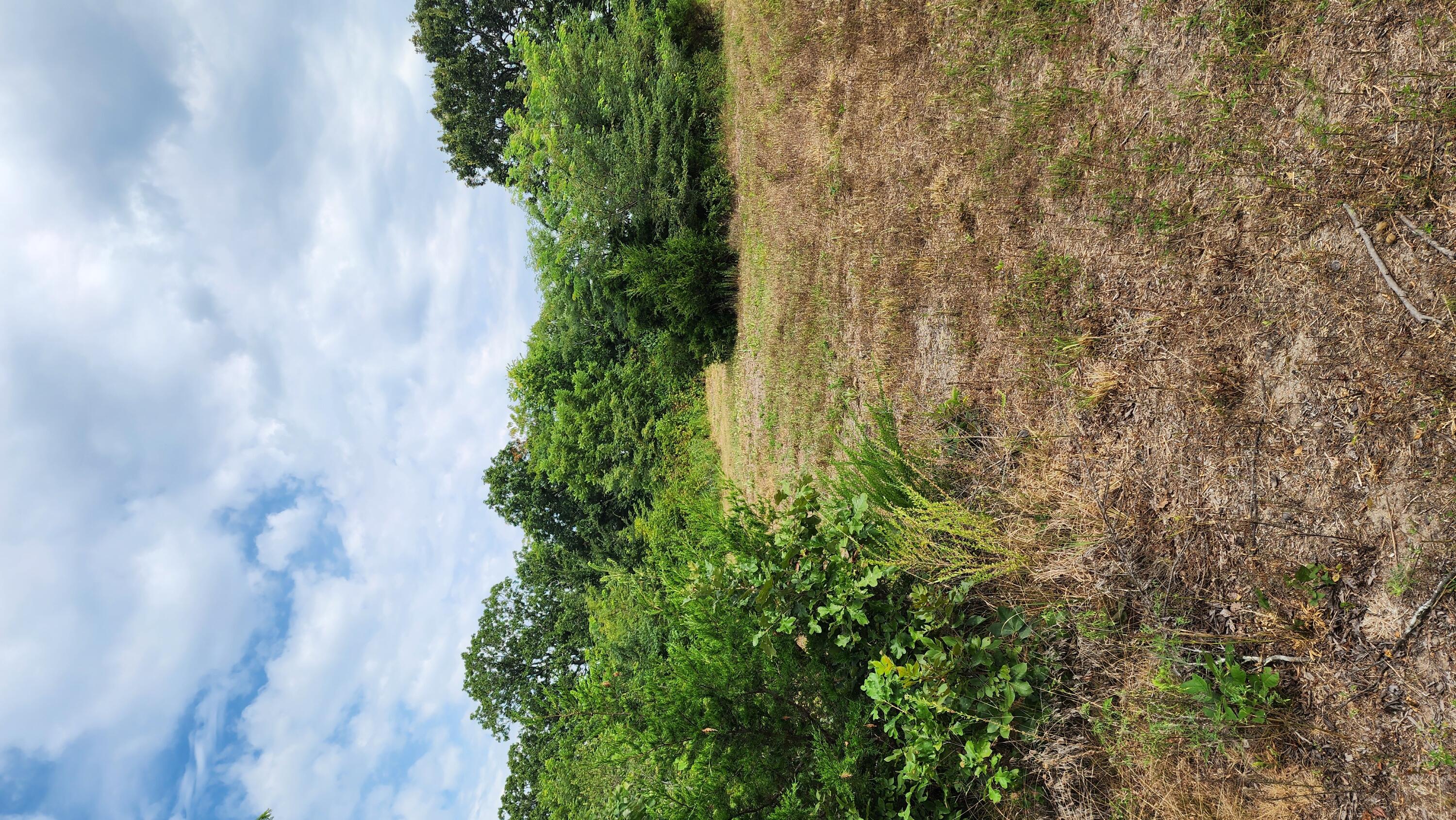 000 Rail Hollow Road Property Photo 15