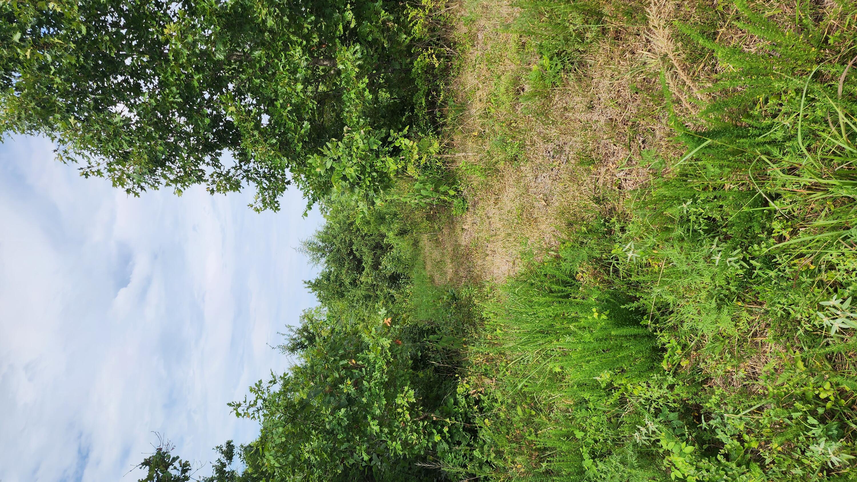 000 Rail Hollow Road Property Photo 16
