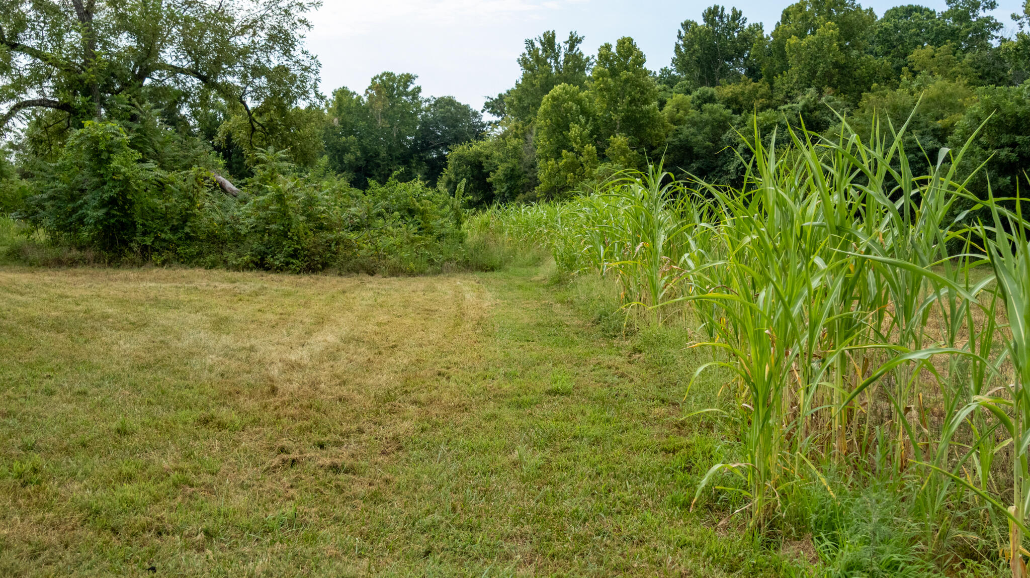 000 Rail Hollow Road Property Photo 17