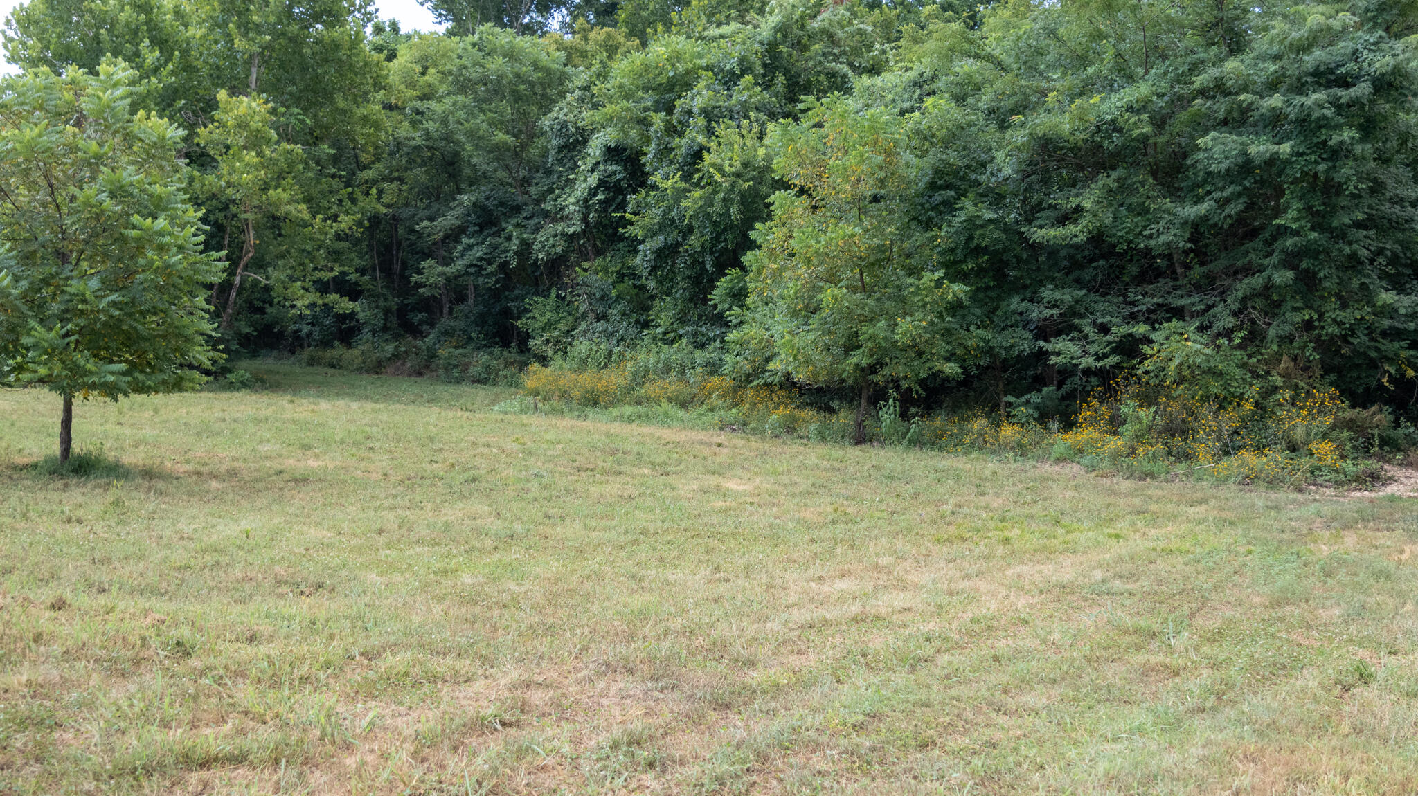000 Rail Hollow Road Property Photo 18