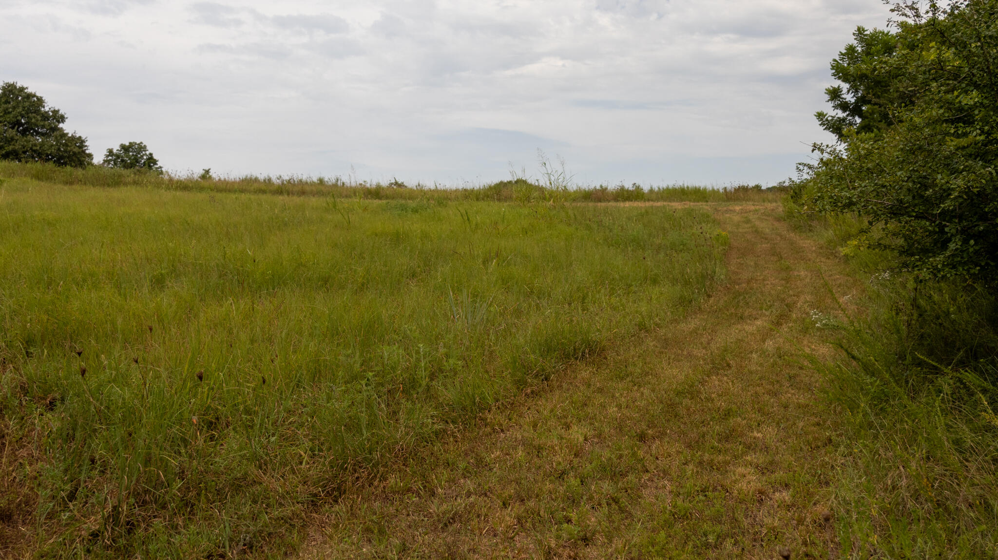 000 Rail Hollow Road Property Photo 19