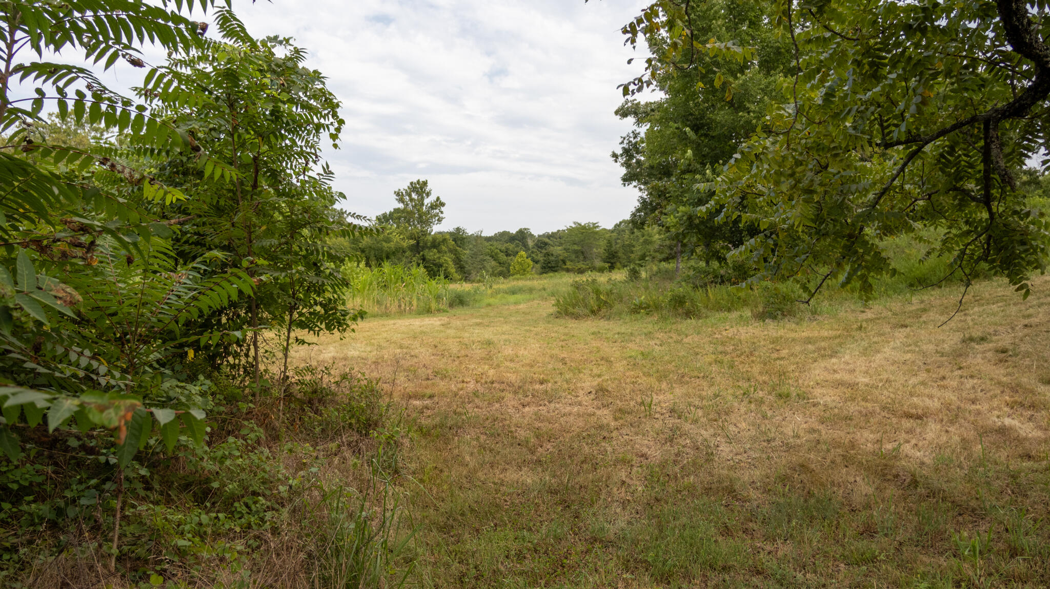 000 Rail Hollow Road Property Photo 21