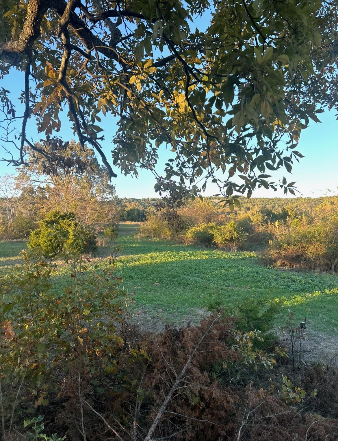 000 Rail Hollow Road Property Photo 22