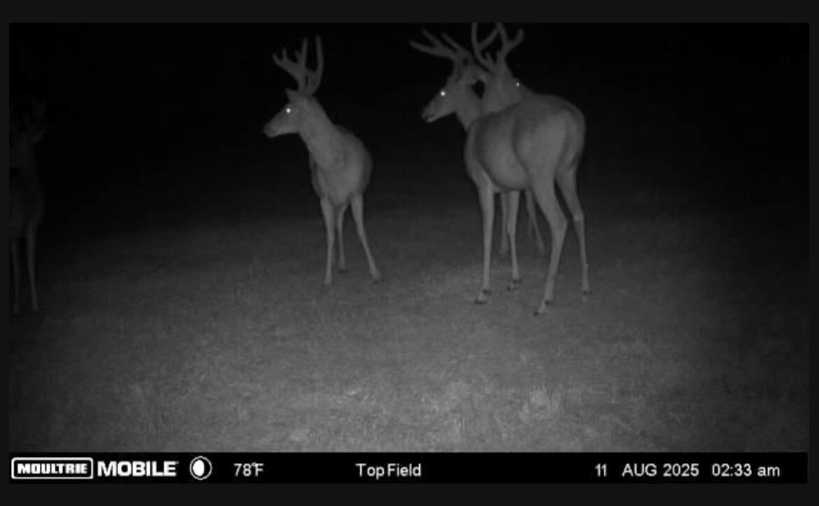 000 Rail Hollow Road Property Photo 23