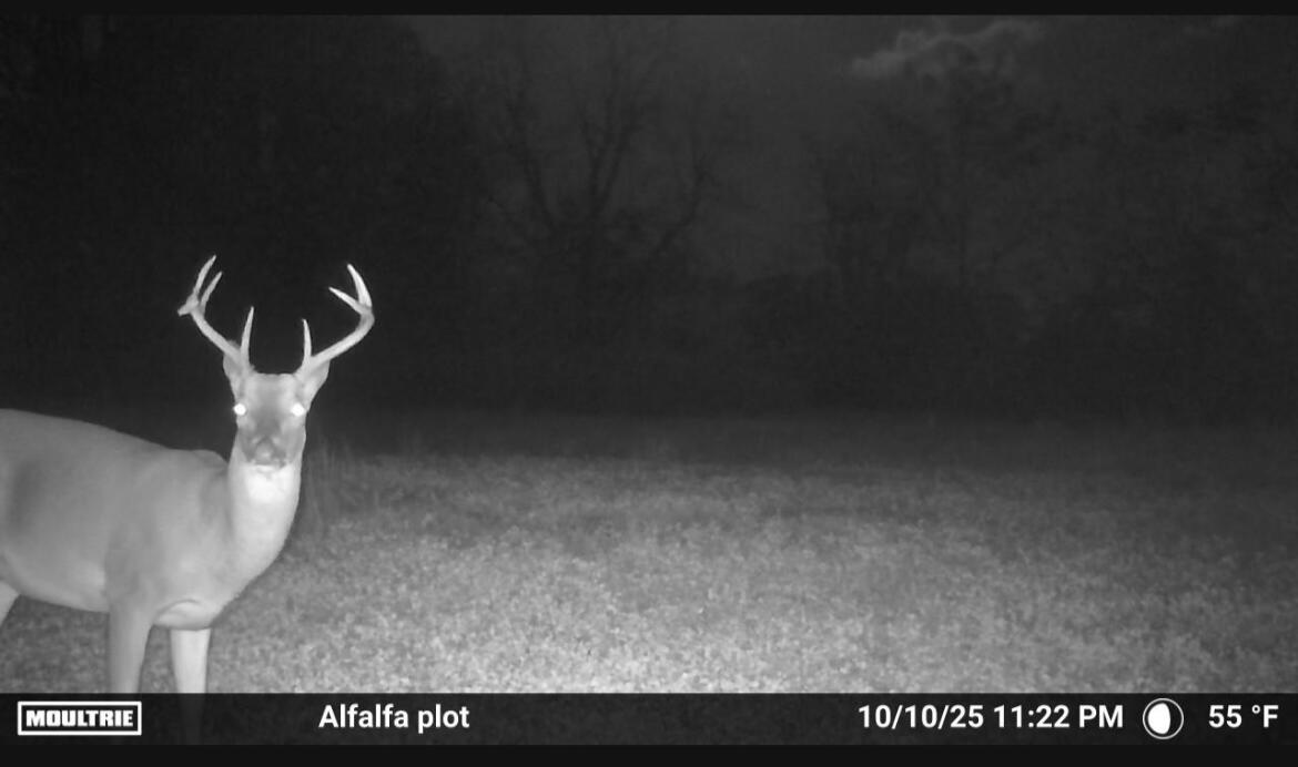 000 Rail Hollow Road Property Photo 24