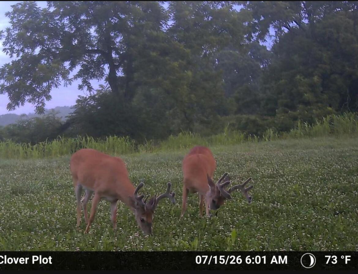000 Rail Hollow Road Property Photo 25