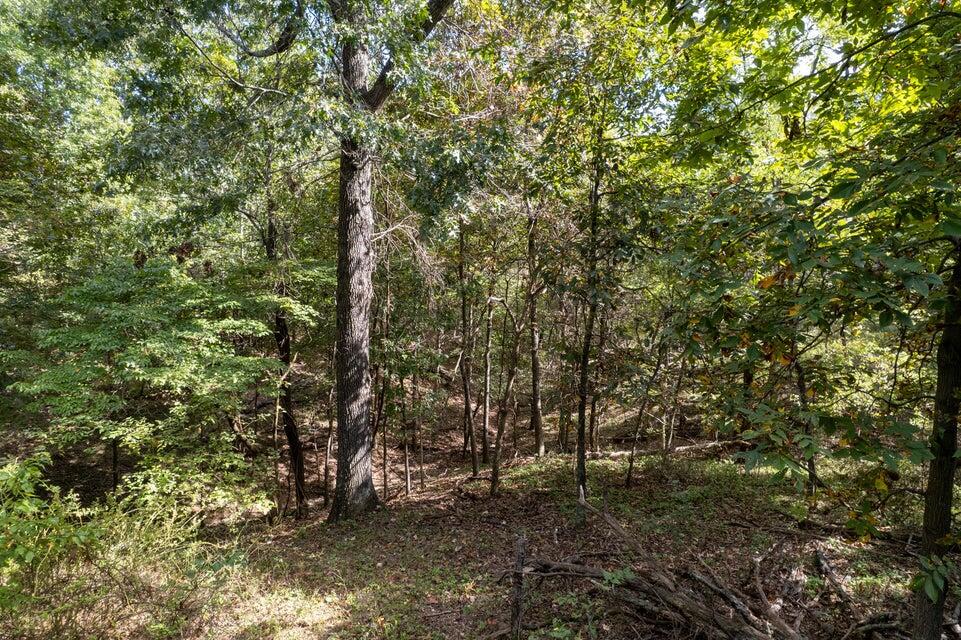 000 Carnell Rd 10 Ac Property Photo 4