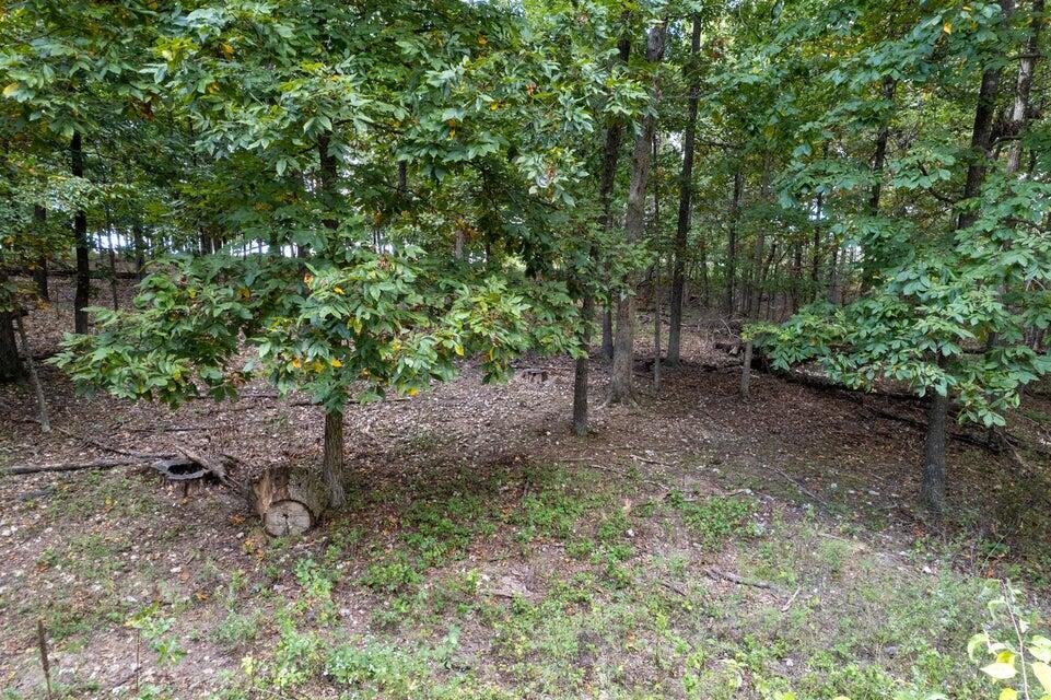 000 Carnell Rd 10 Ac Property Photo 5
