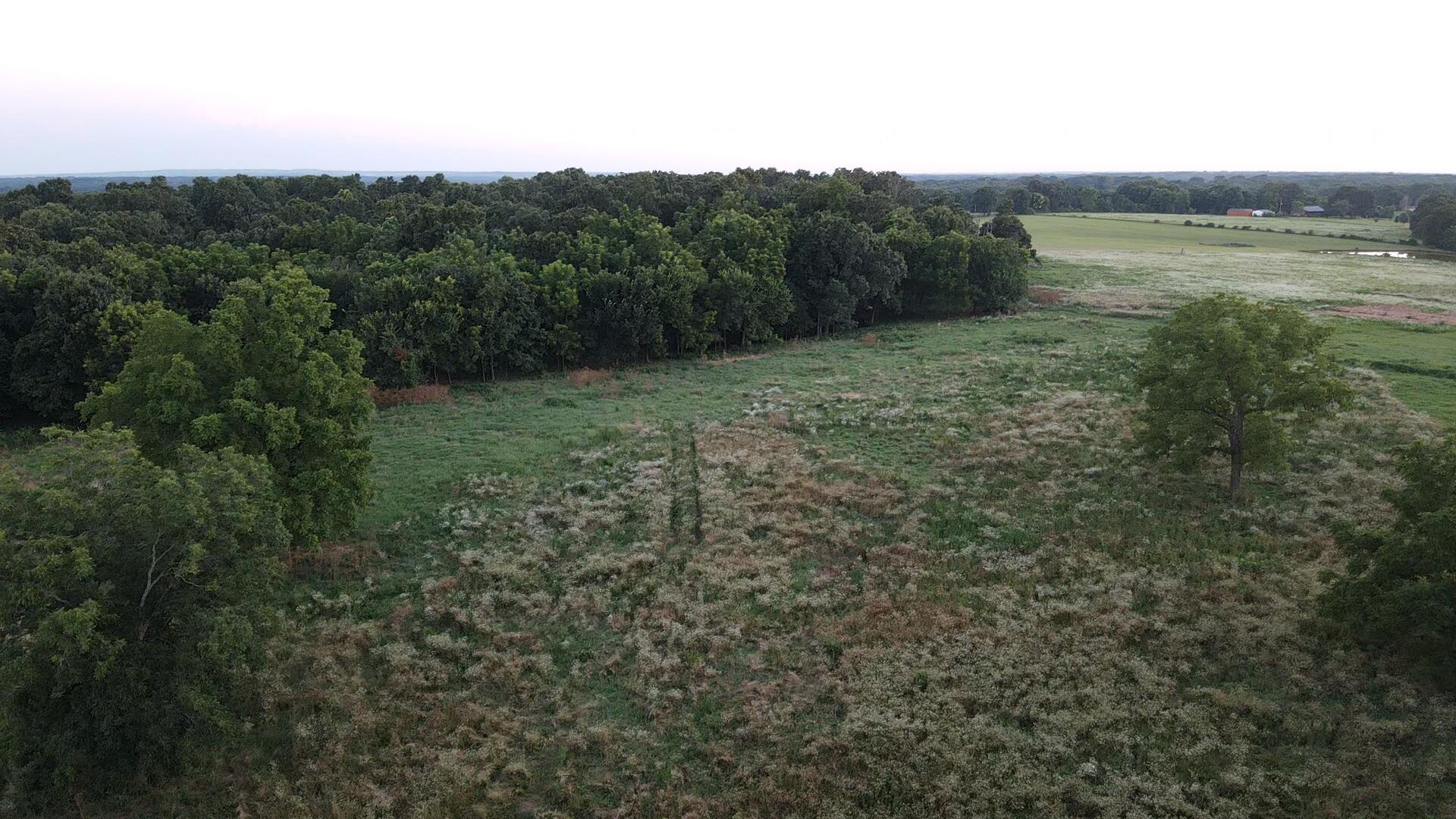 000 Carnell Rd 10 Ac Property Photo 8